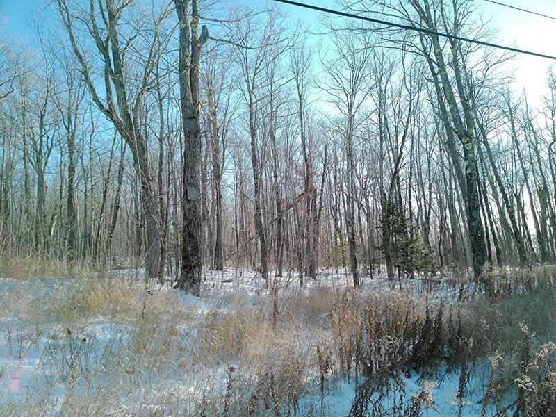 xxx S Caribou Dr Lutsen MN 55615 6120783 image1