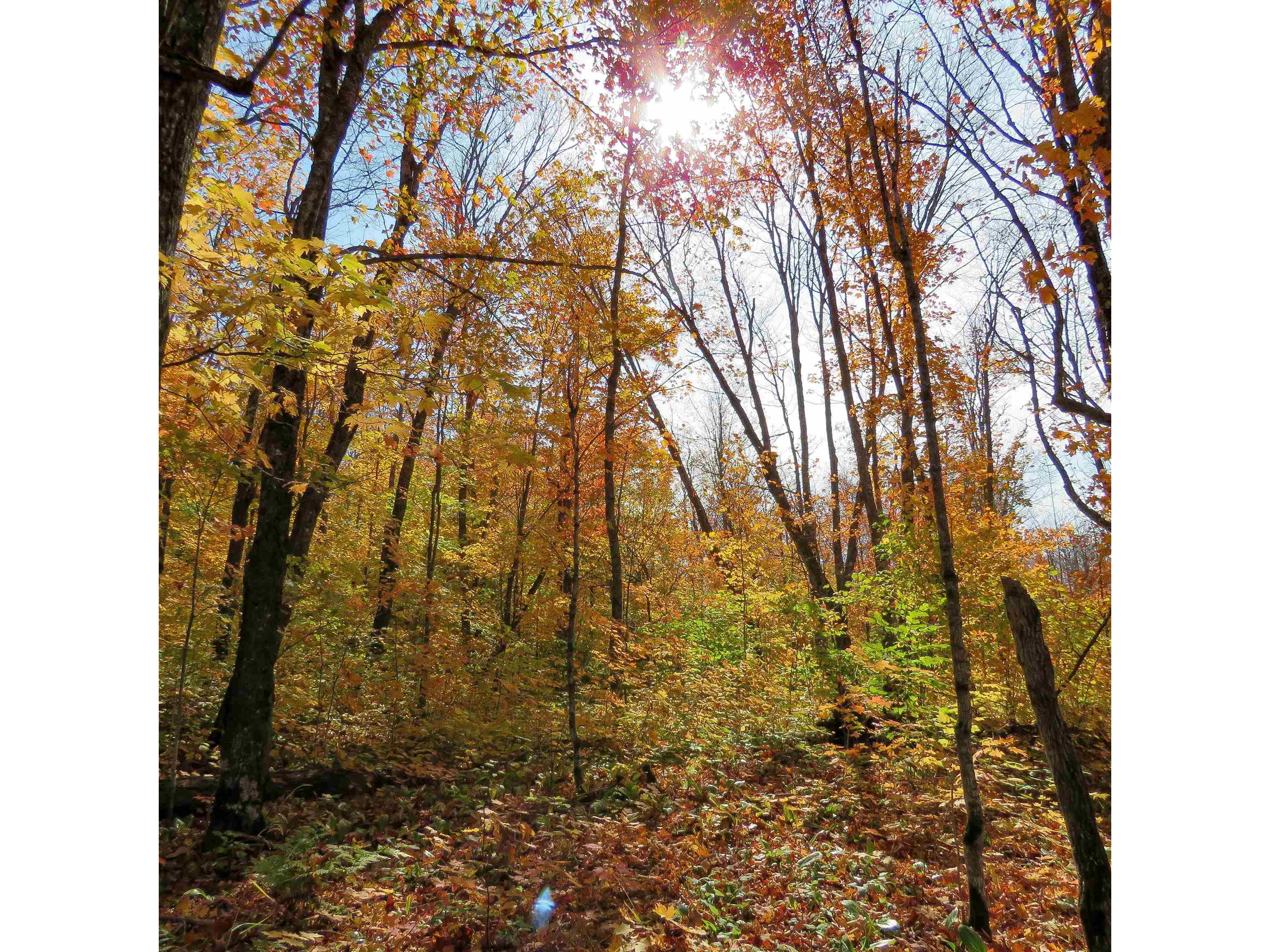 xxx S Caribou Dr Lutsen MN 55615 6120783 image12