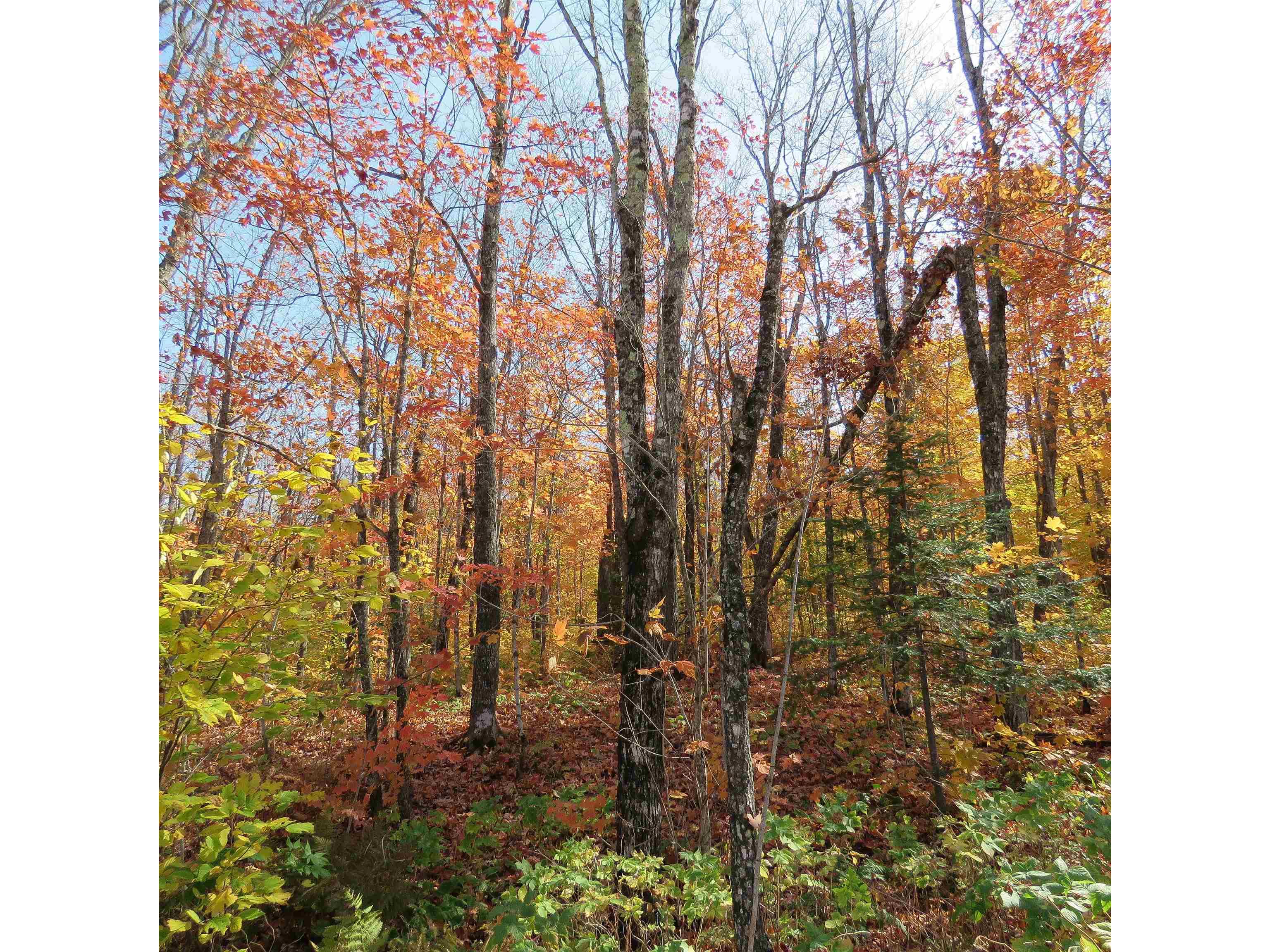 xxx S Caribou Dr Lutsen MN 55615 6120783 image15