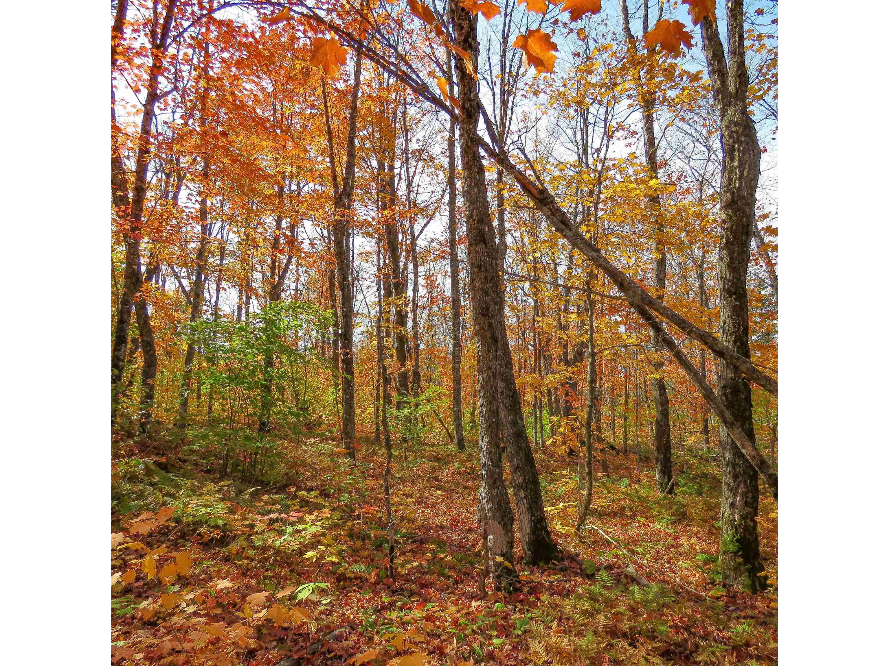 xxx S Caribou Dr Lutsen MN 55615 6120783 image17