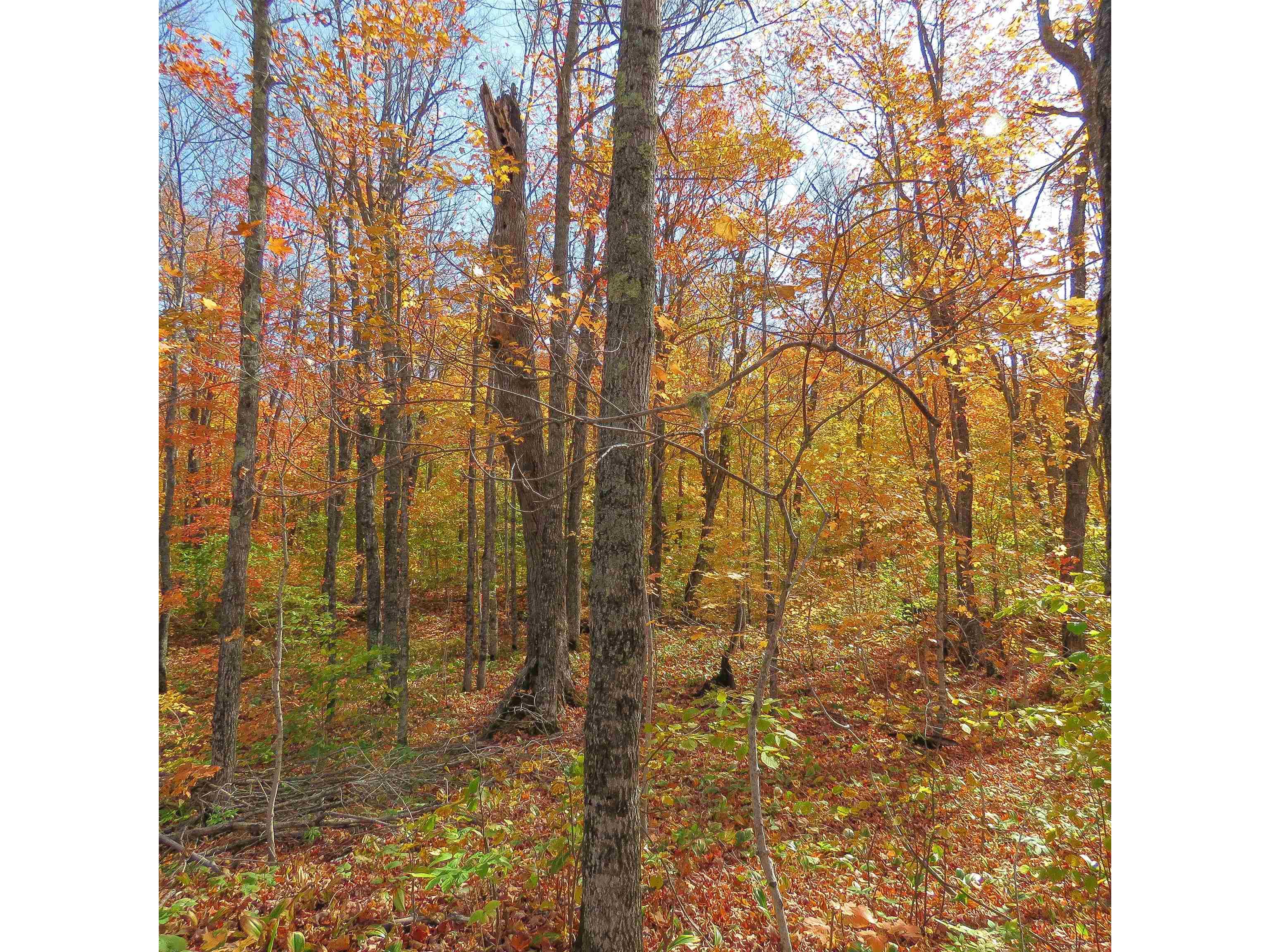 xxx S Caribou Dr Lutsen MN 55615 6120783 image18