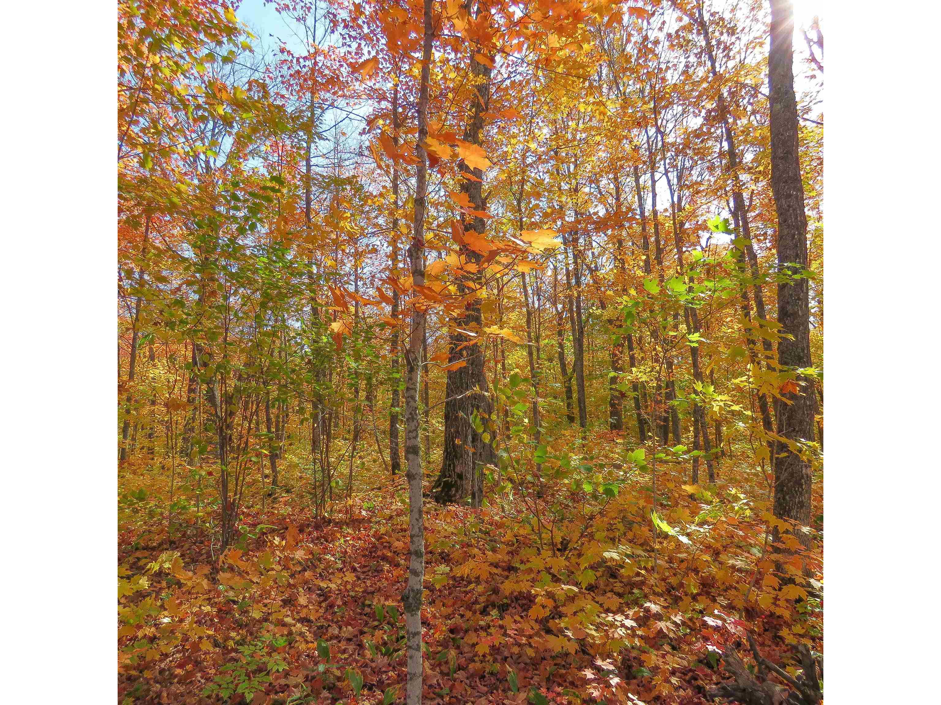 xxx S Caribou Dr Lutsen MN 55615 6120783 image19