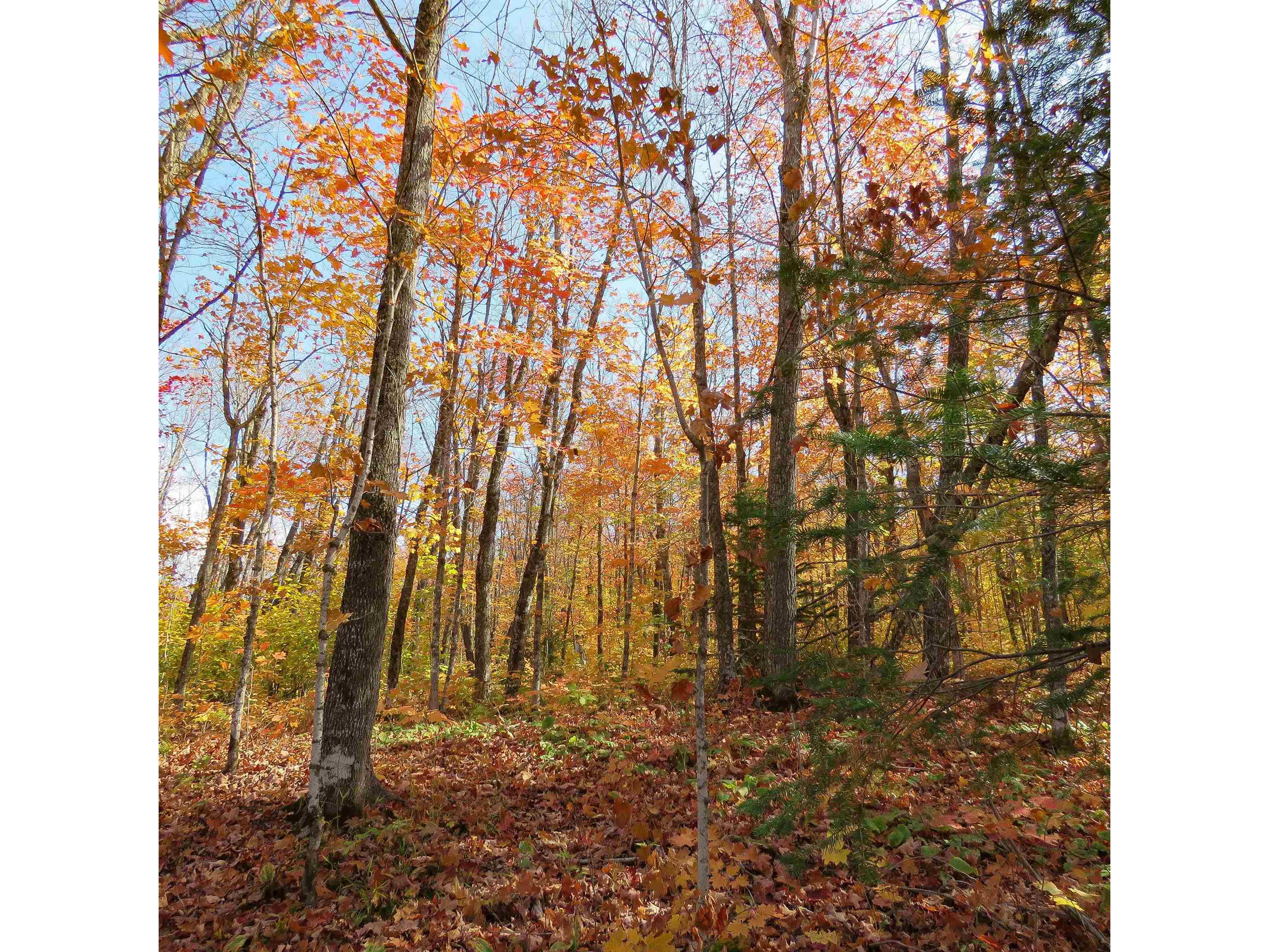 xxx S Caribou Dr Lutsen MN 55615 6120783 image20