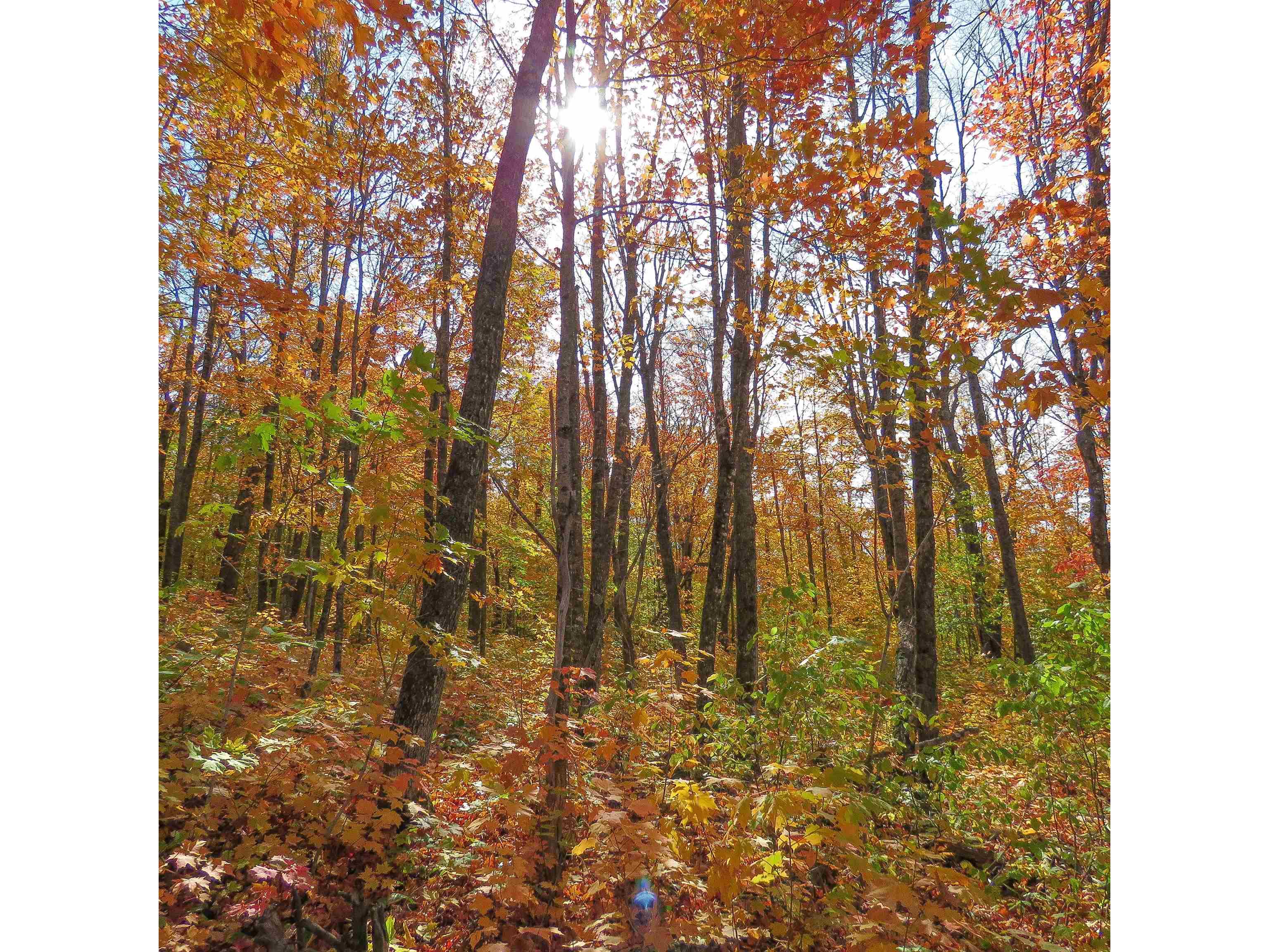 xxx S Caribou Dr Lutsen MN 55615 6120783 image21