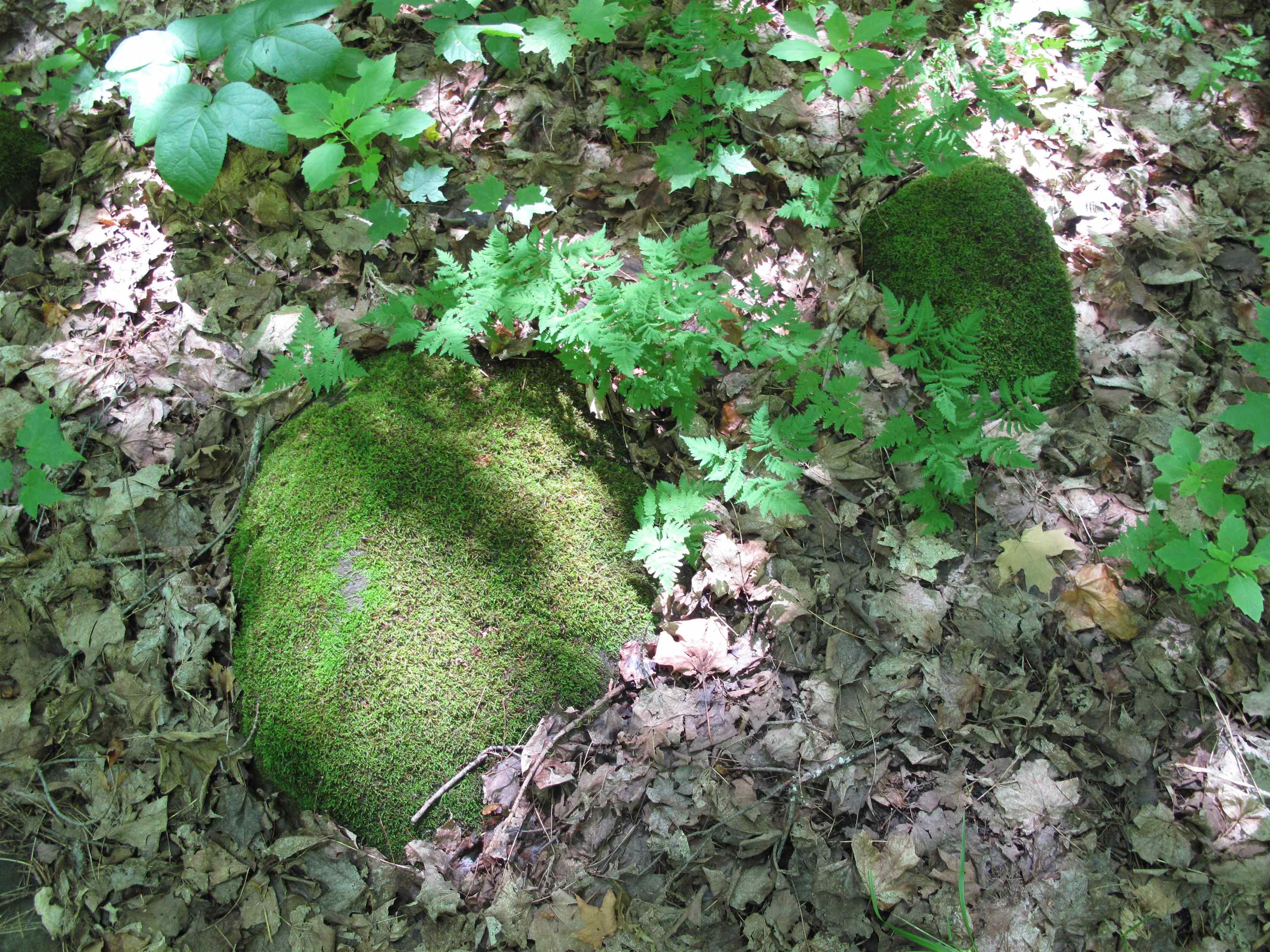 xxx S Caribou Dr Lutsen MN 55615 6120783 image26