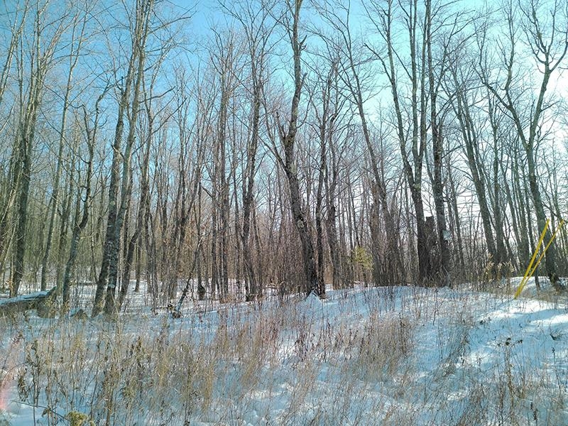 xxx S Caribou Dr Lutsen MN 55615 6120783 image3