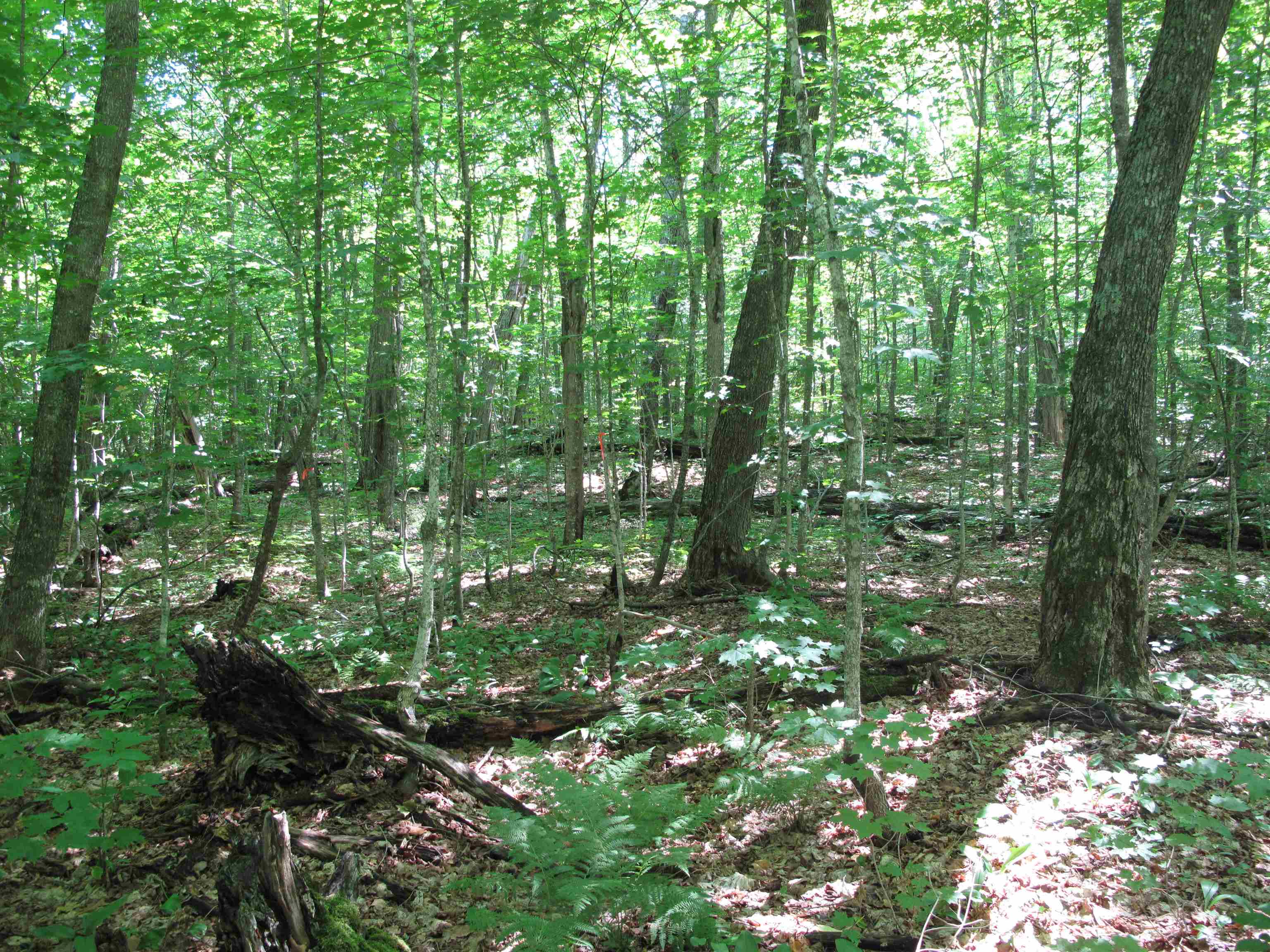 xxx S Caribou Dr Lutsen MN 55615 6120783 image37