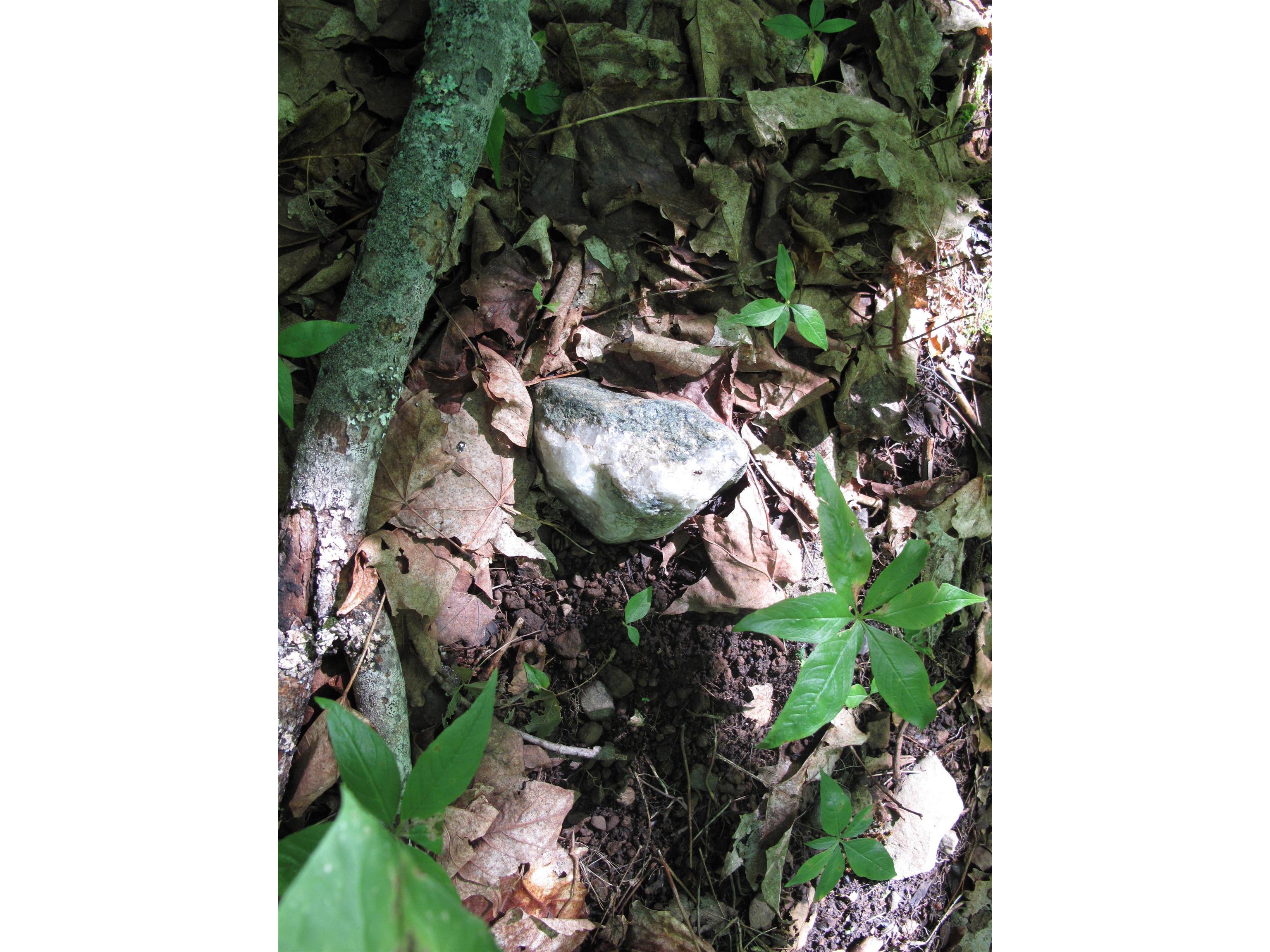 xxx S Caribou Dr Lutsen MN 55615 6120783 image42