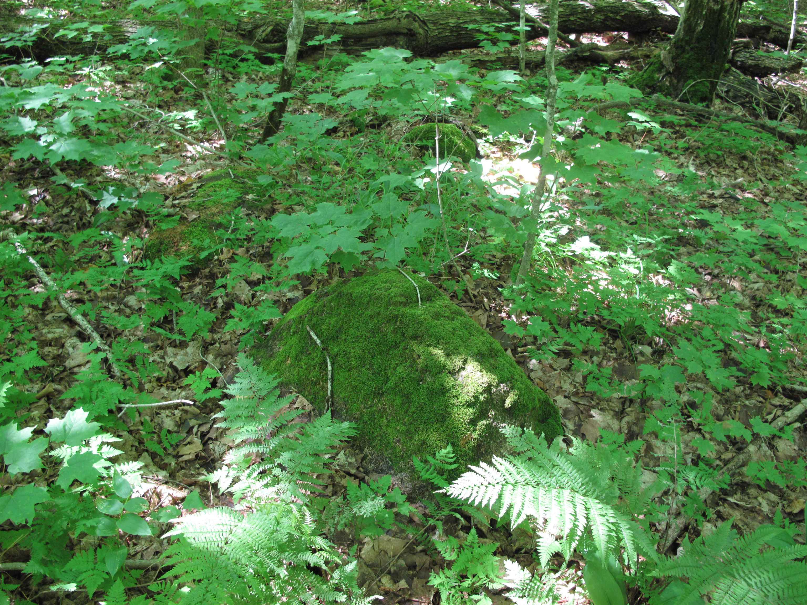 xxx S Caribou Dr Lutsen MN 55615 6120783 image45