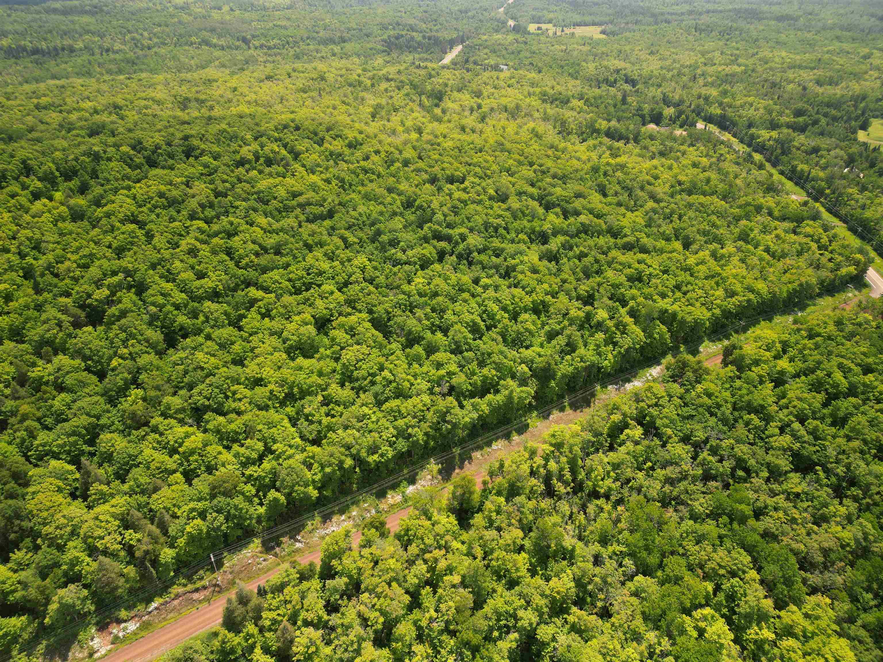 xxx S Caribou Dr Lutsen MN 55615 6120783 image9