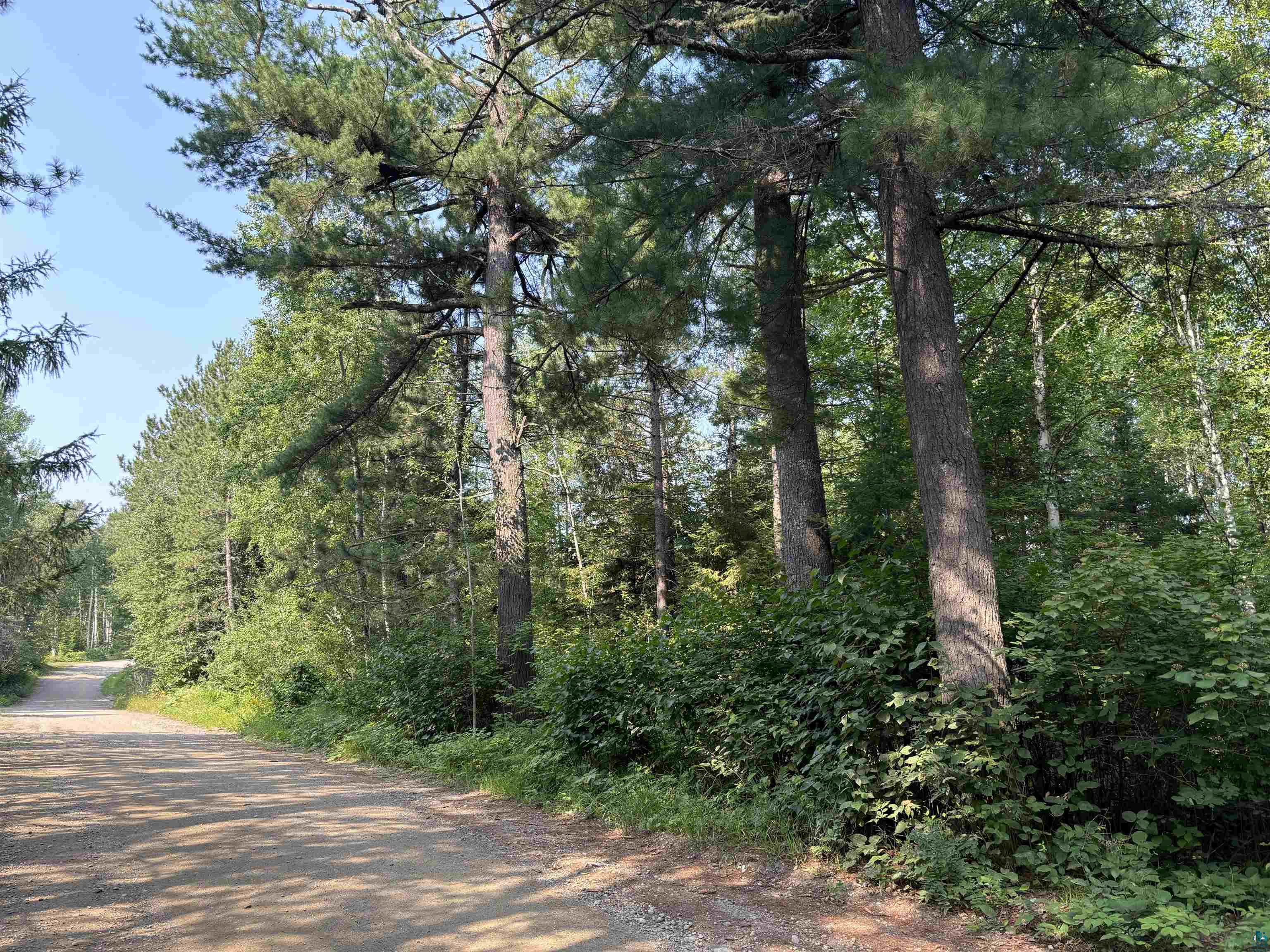 xxx Shady Ln Ely MN 55731 6115485 image1