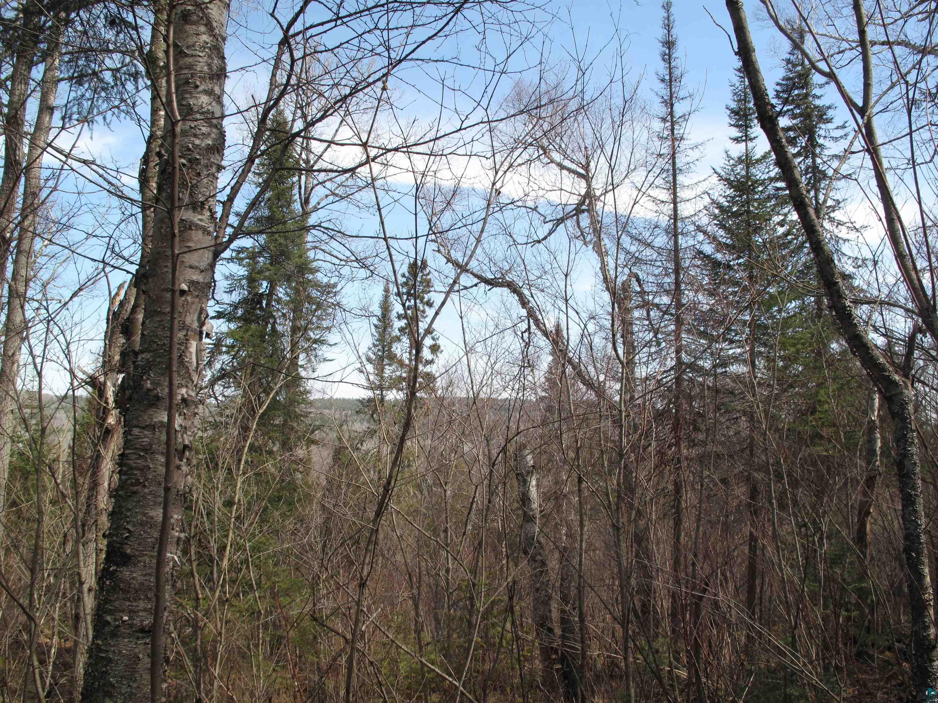 xxx South Brule Rd Grand Marais MN 55604 6113905 image1