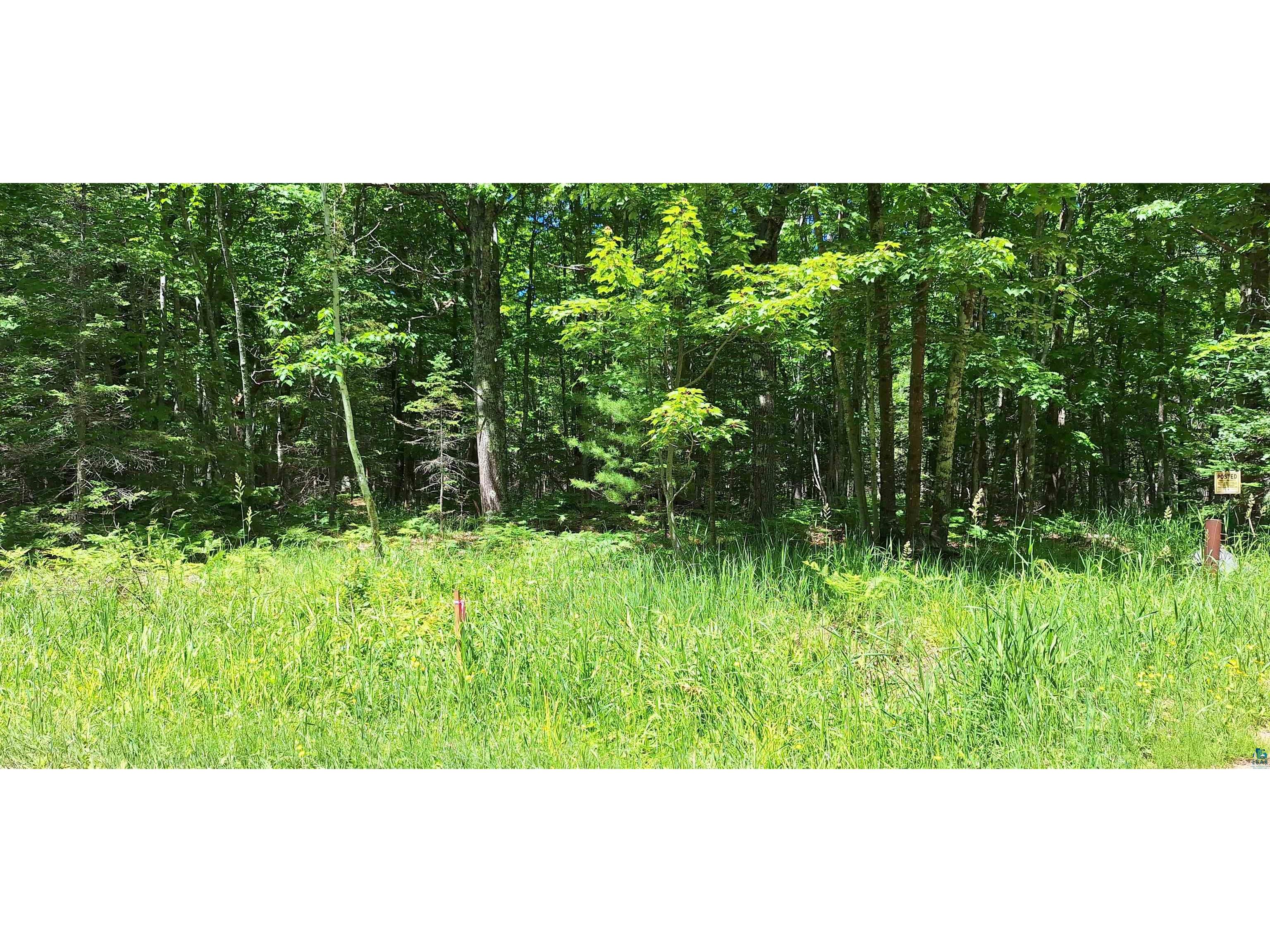 xxx South Shore Rd La Pointe WI 54850 6126497 image8
