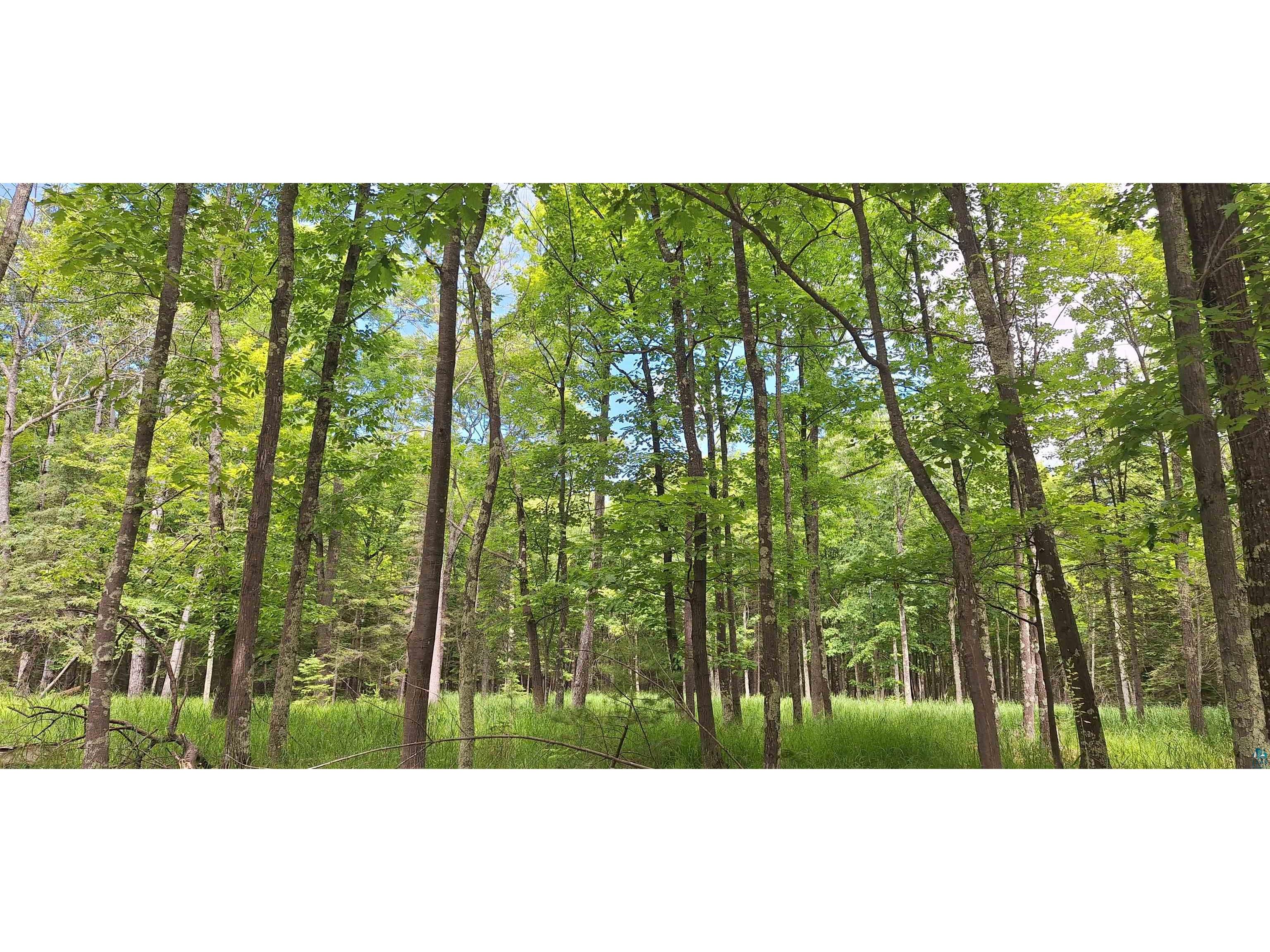 xxx South Shore Rd La Pointe WI 54850 6126504 image9