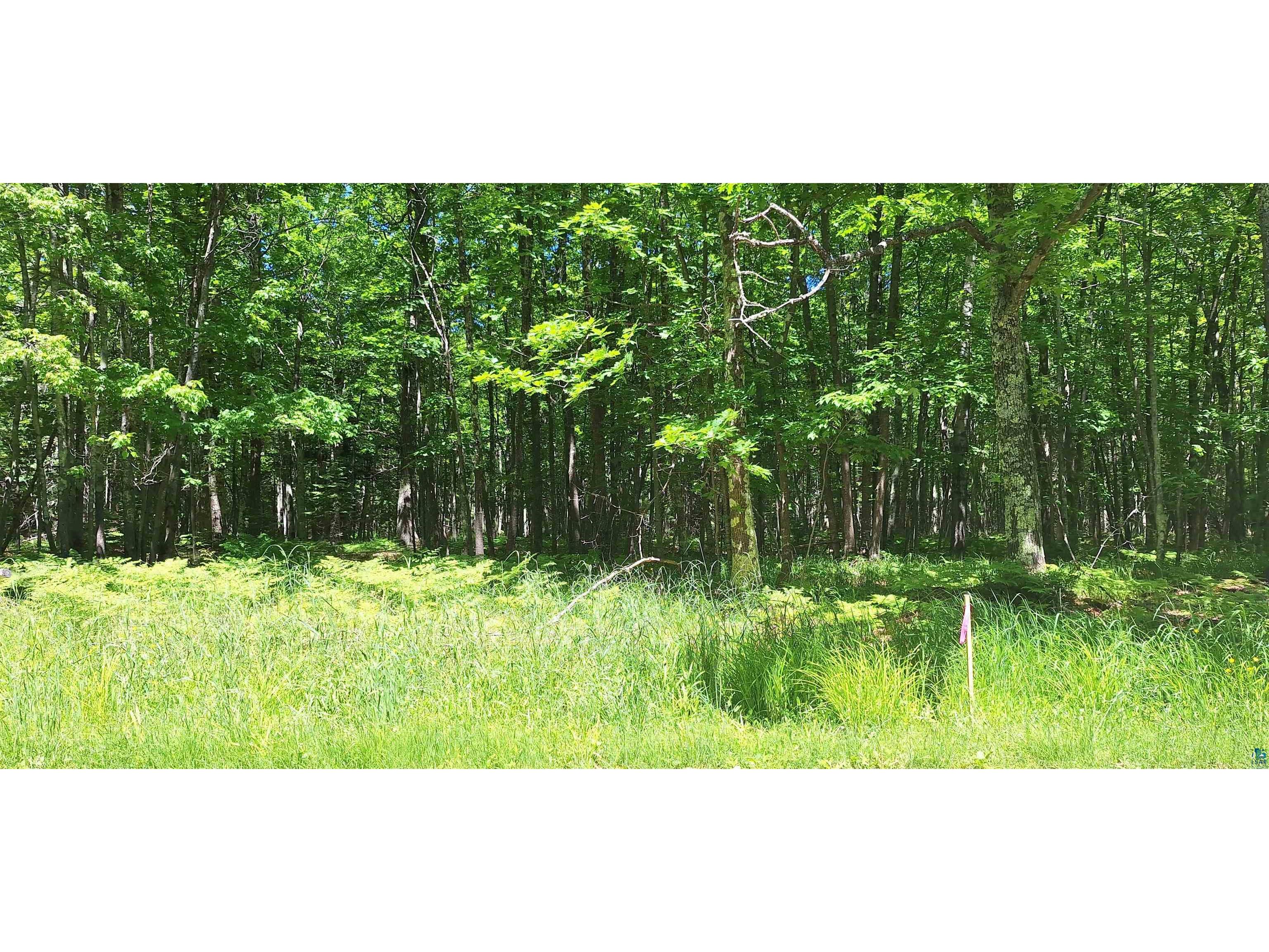 xxx South Shore Rd La Pointe WI 54850 6126505 image3