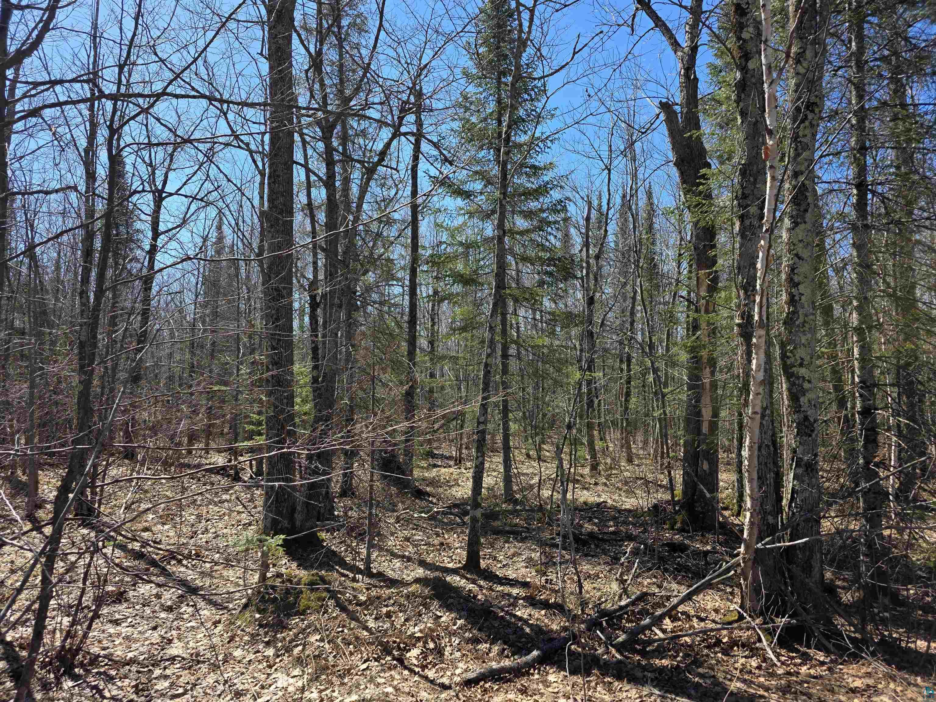 xxx Stark Rd Cloquet MN 55720 6124241 image1