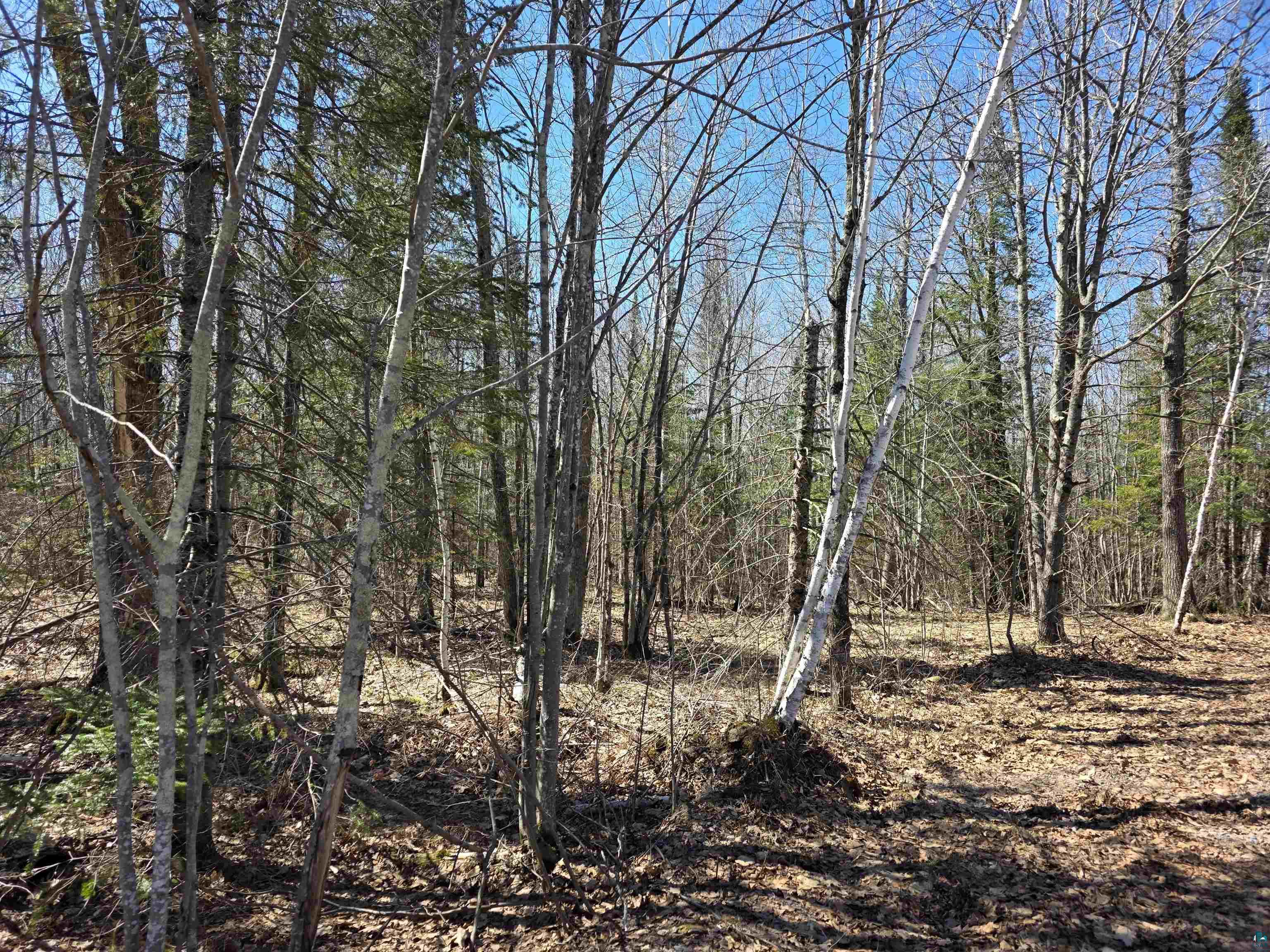 xxx Stark Rd Cloquet MN 55720 6124241 image3