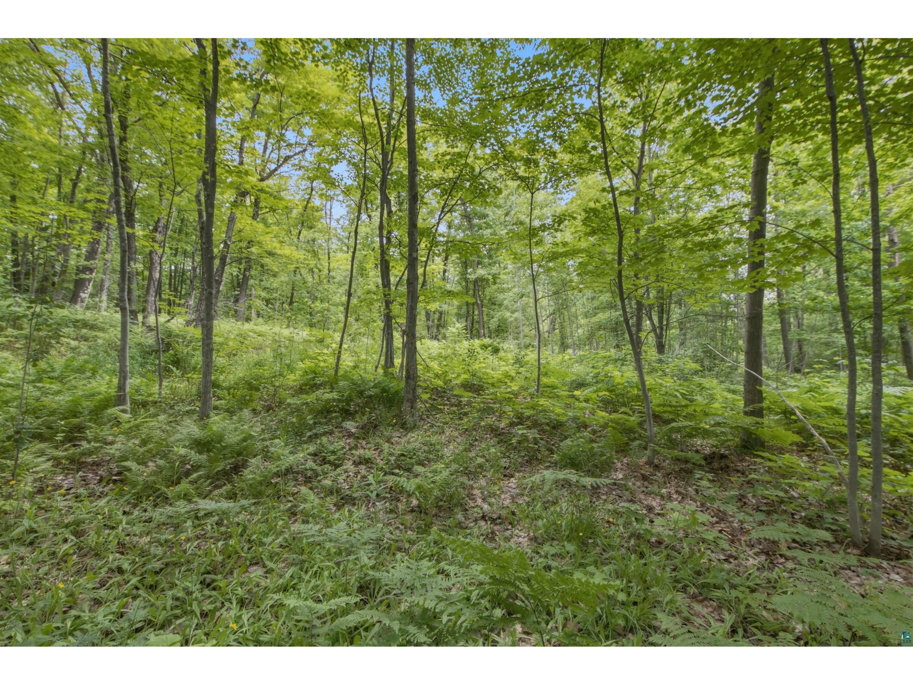 xxx State Hwy 13 Bayfield WI 54814 6126300 image16