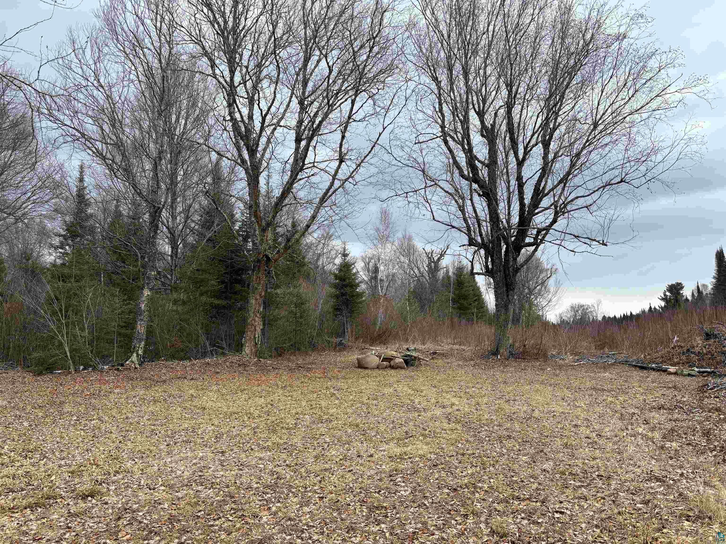 xxx Stony River Forest Rd Isabella MN 55607 6113056 image1