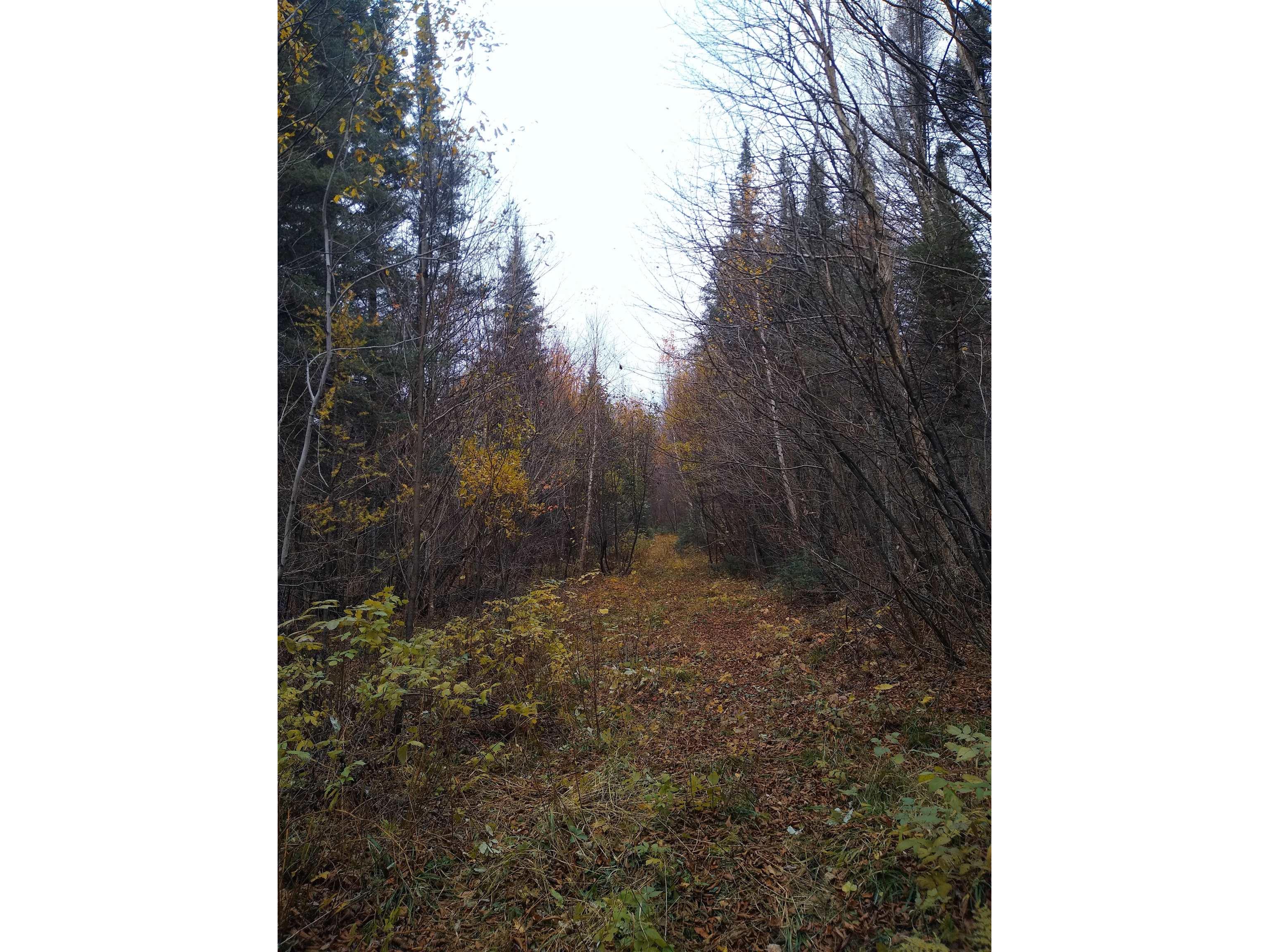 xxx Stony River Forest Rd Isabella MN 55607 6121914 image13