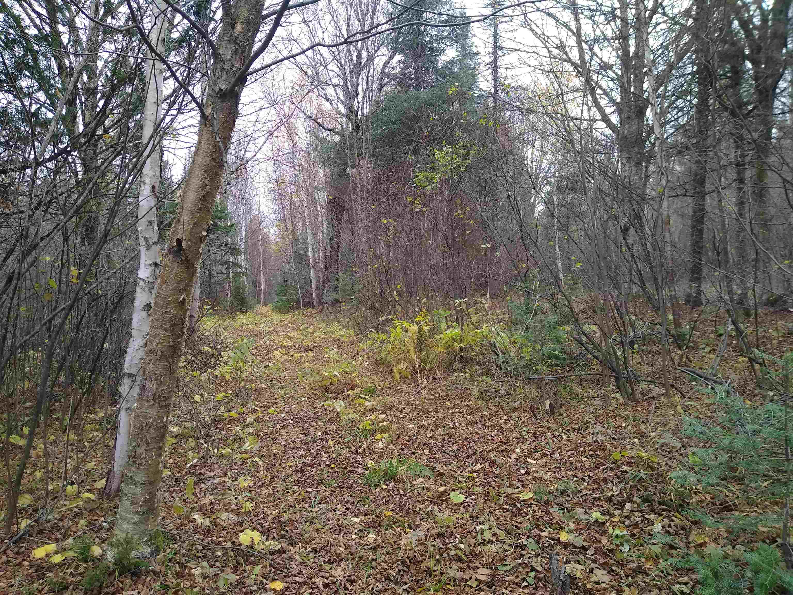 xxx Stony River Forest Rd Isabella MN 55607 6121914 image15