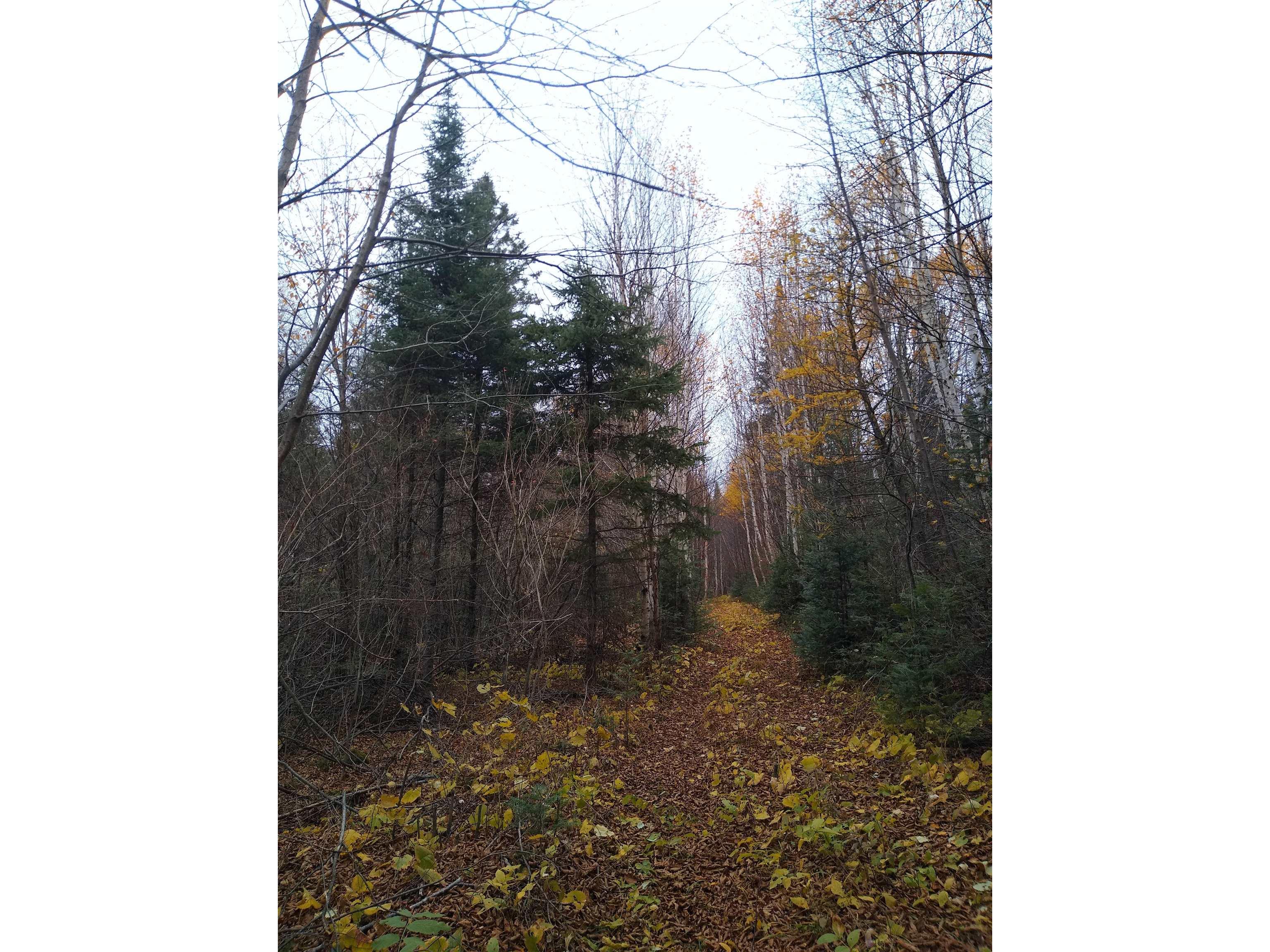 xxx Stony River Forest Rd Isabella MN 55607 6121914 image17