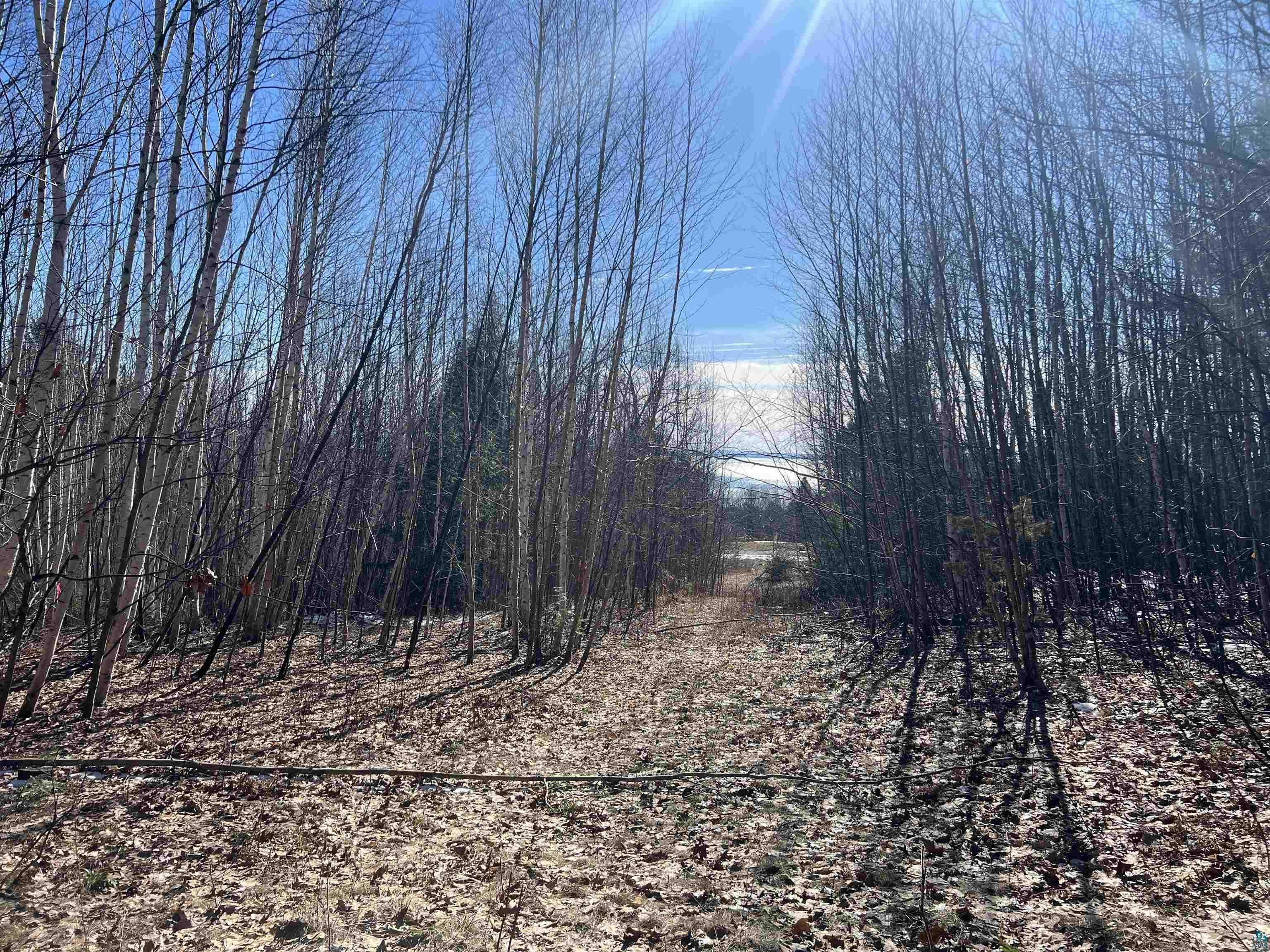 xxx Sweeny Ave Bayfield WI 54814 6112970 image1