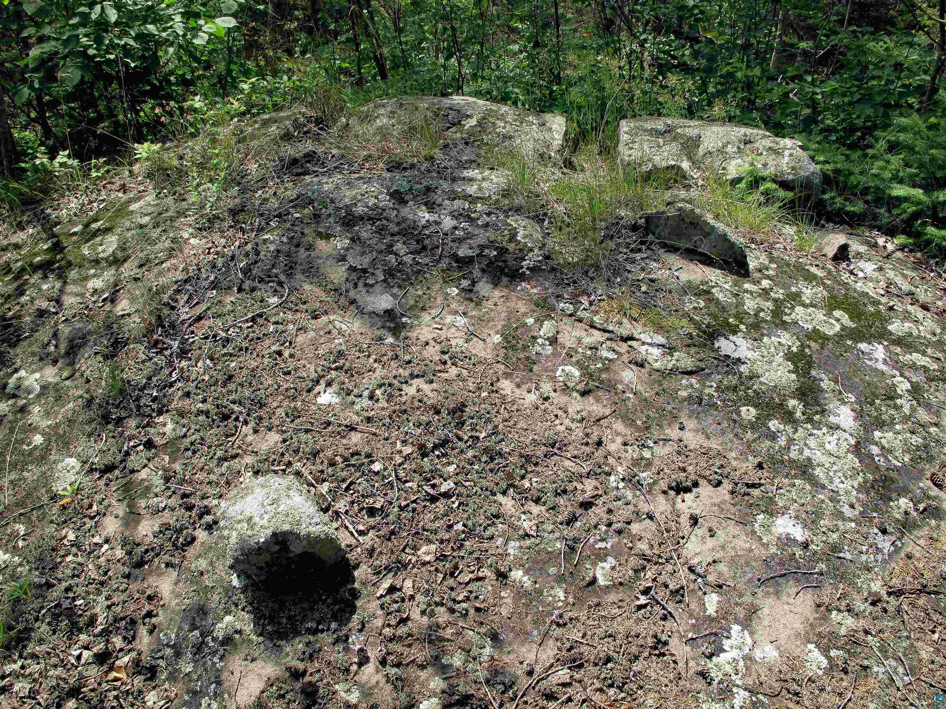 xxx The Grade Lutsen MN 55612 6120782 image18