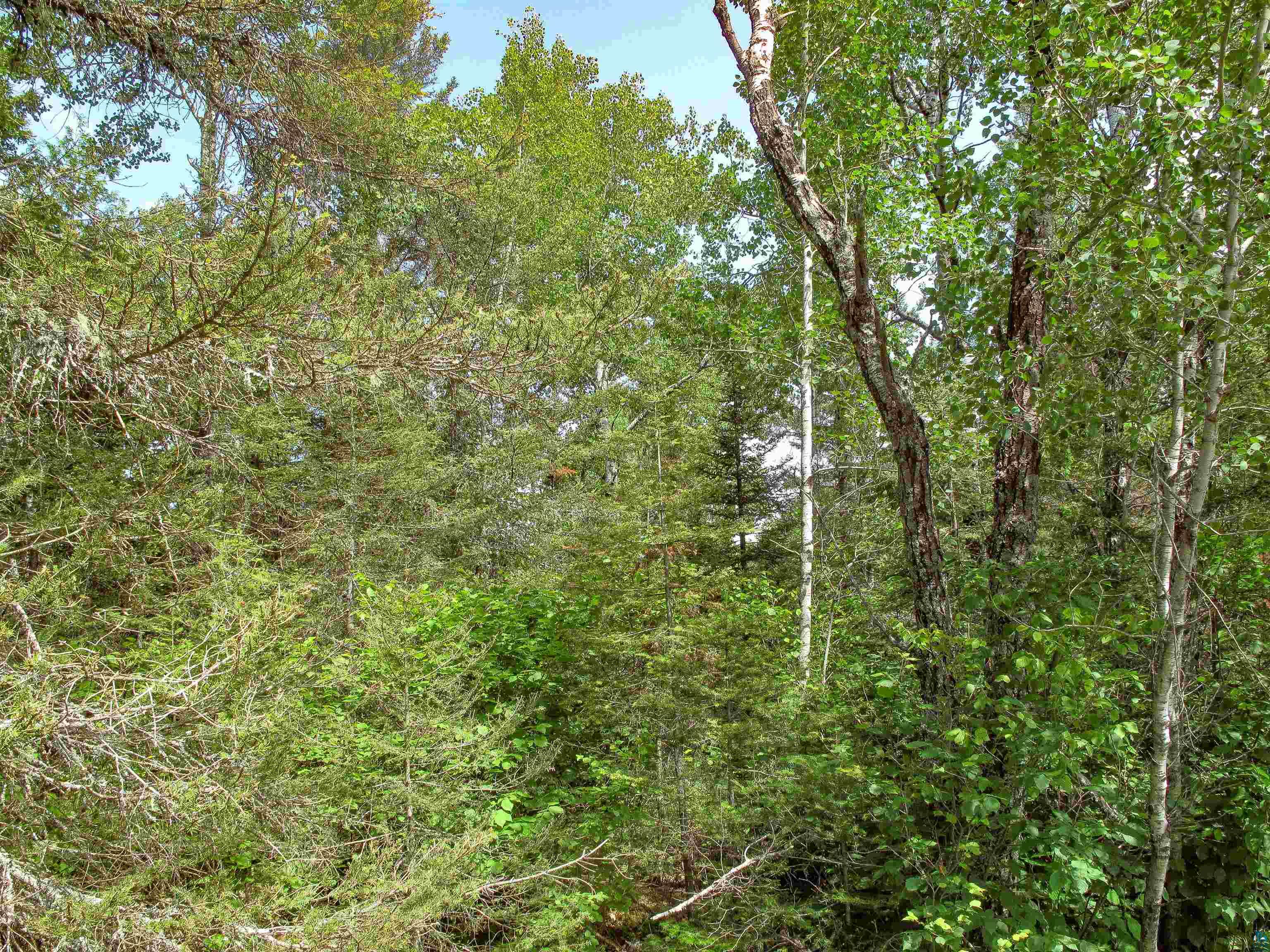 xxx The Grade Lutsen MN 55612 6120782 image19