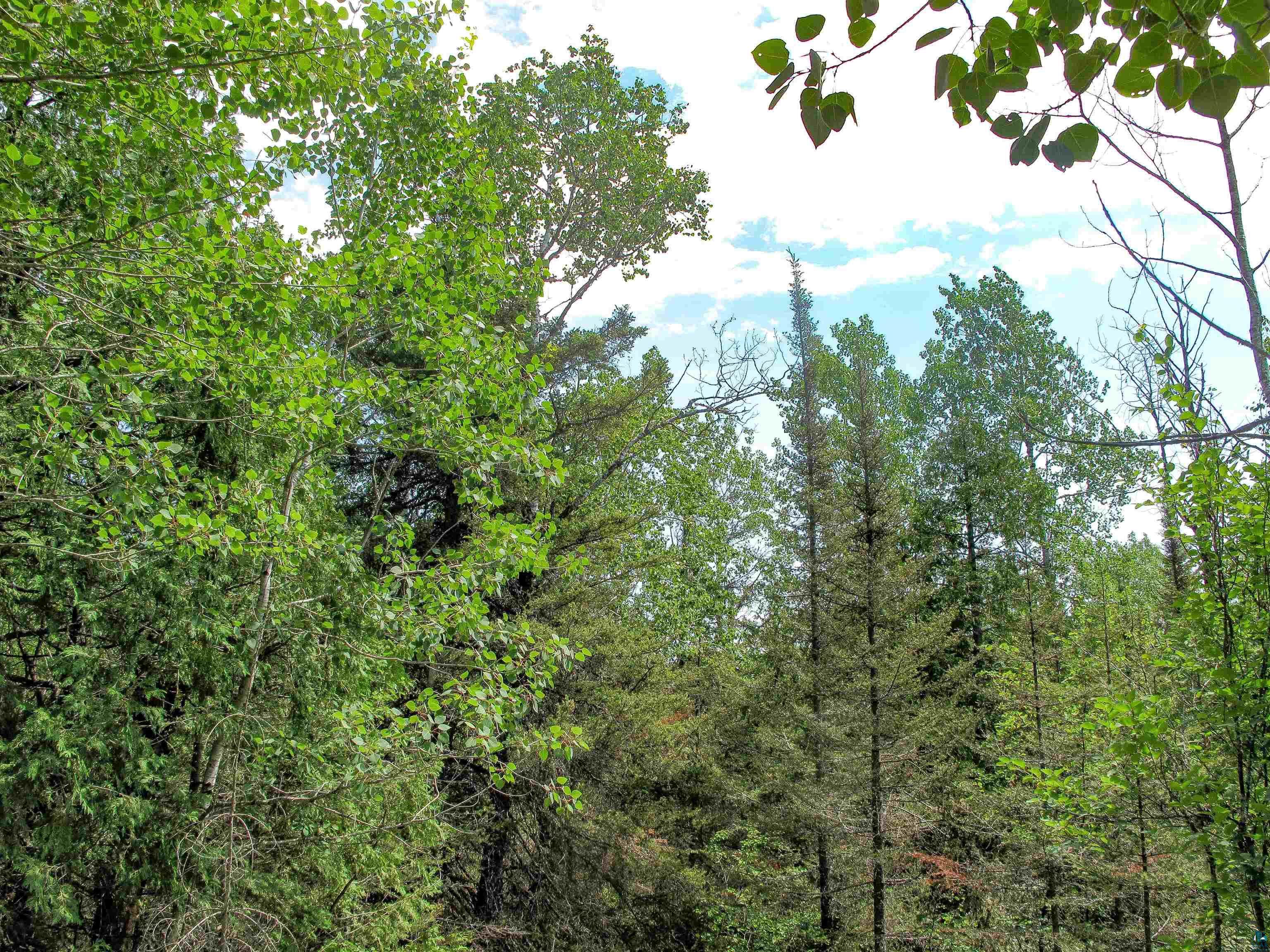 xxx The Grade Lutsen MN 55612 6120782 image20