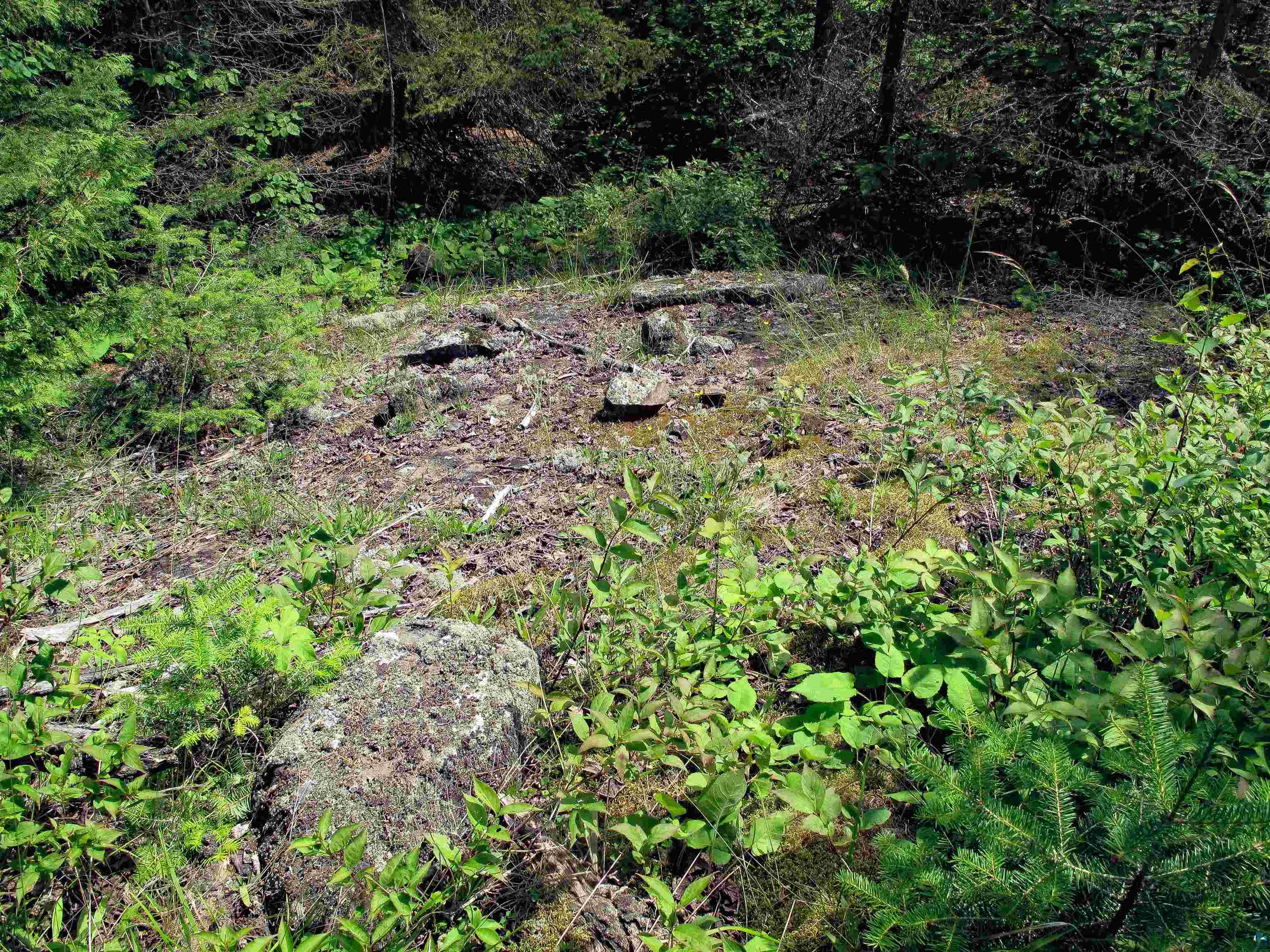 xxx The Grade Lutsen MN 55612 6120782 image21