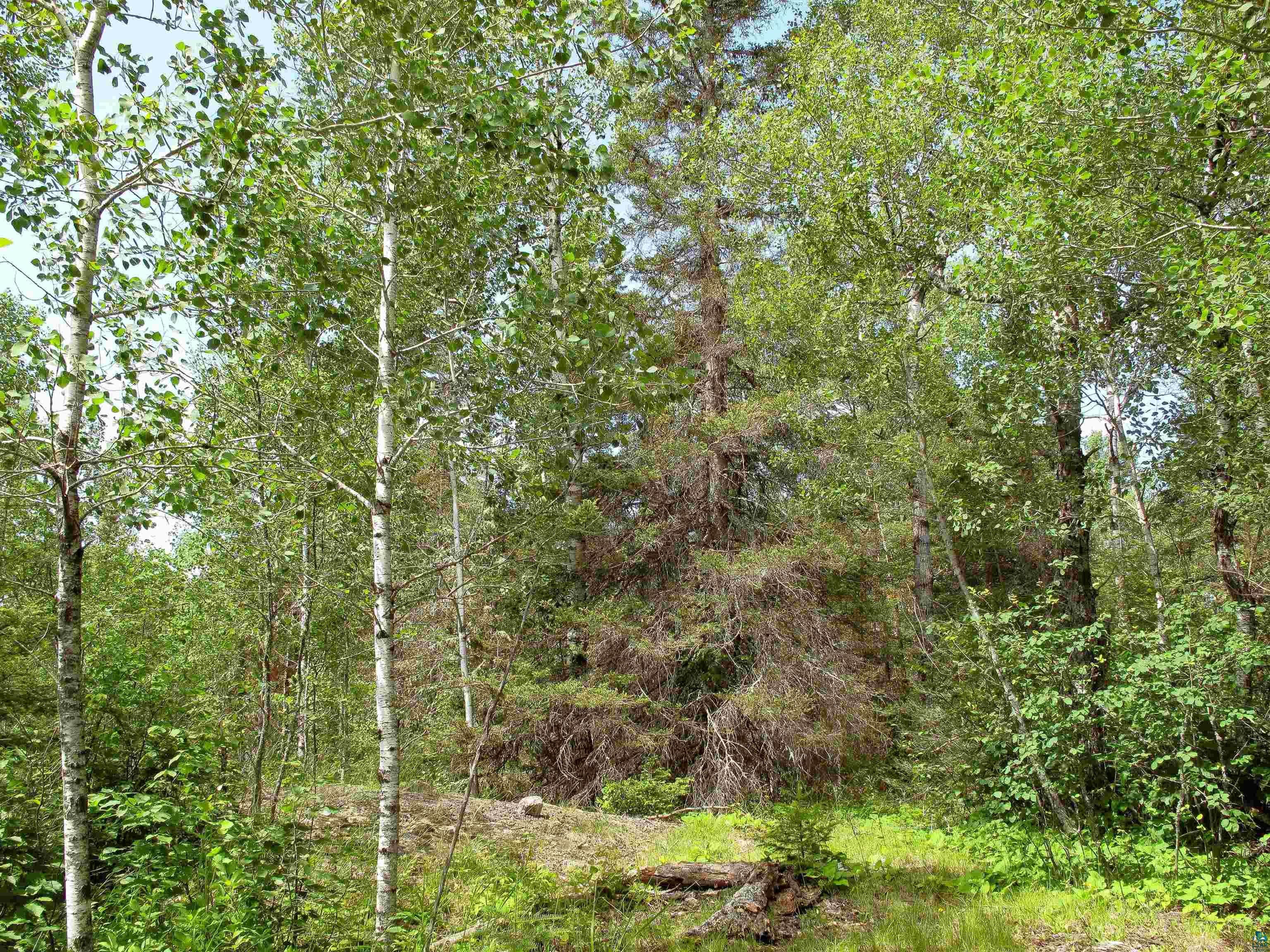 xxx The Grade Lutsen MN 55612 6120782 image23