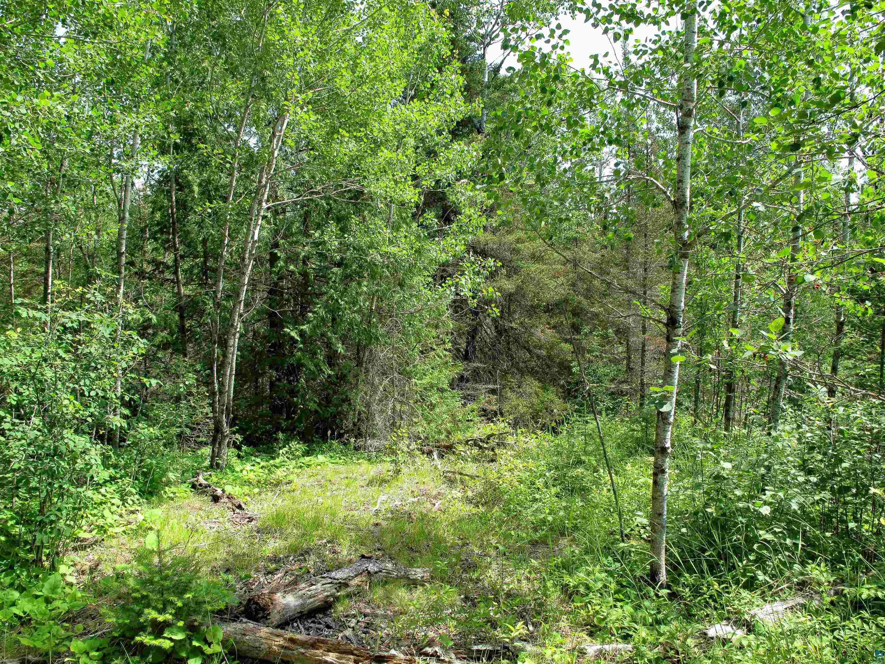 xxx The Grade Lutsen MN 55612 6120782 image6