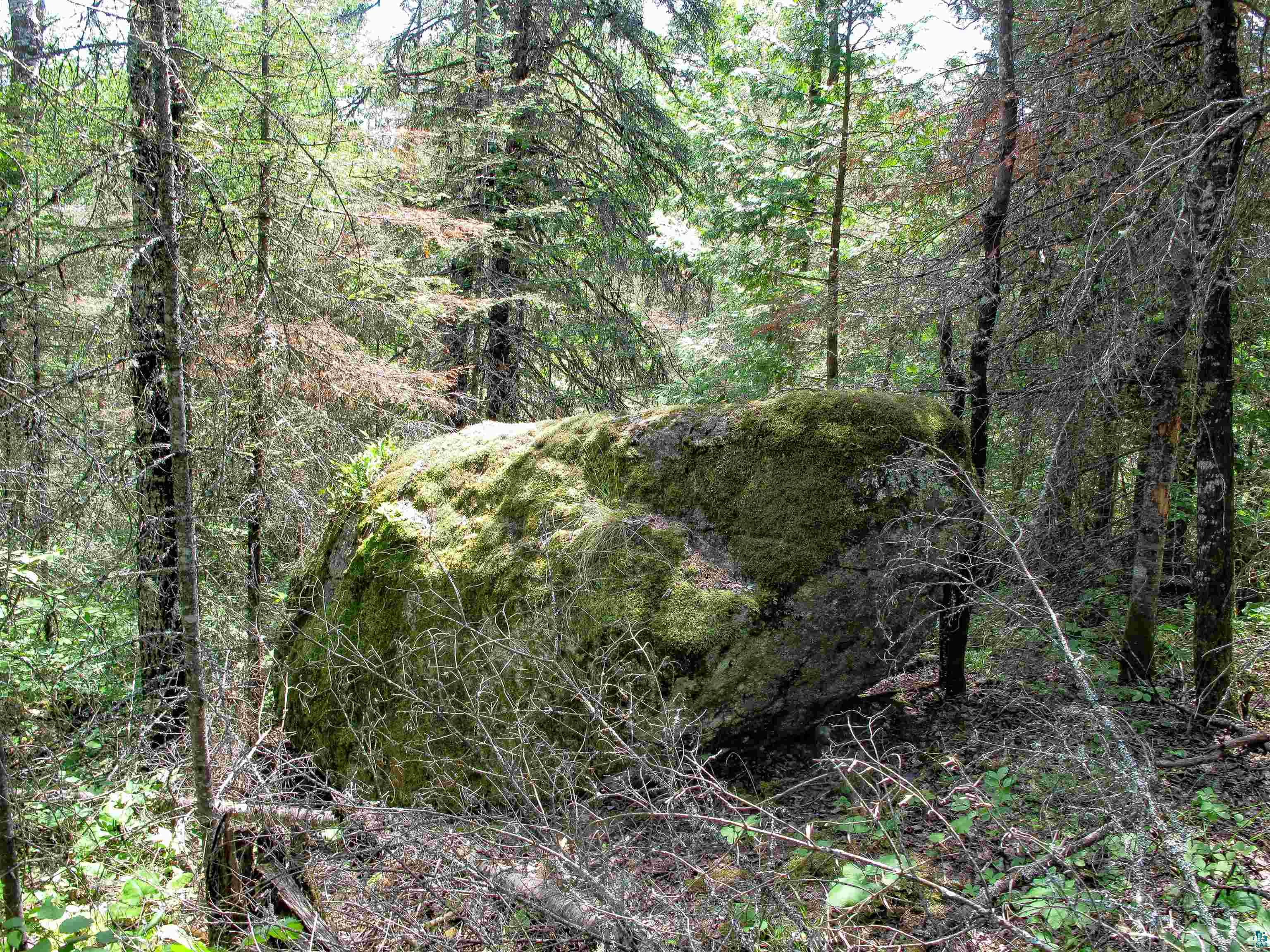 xxx The Grade Lutsen MN 55612 6120782 image8