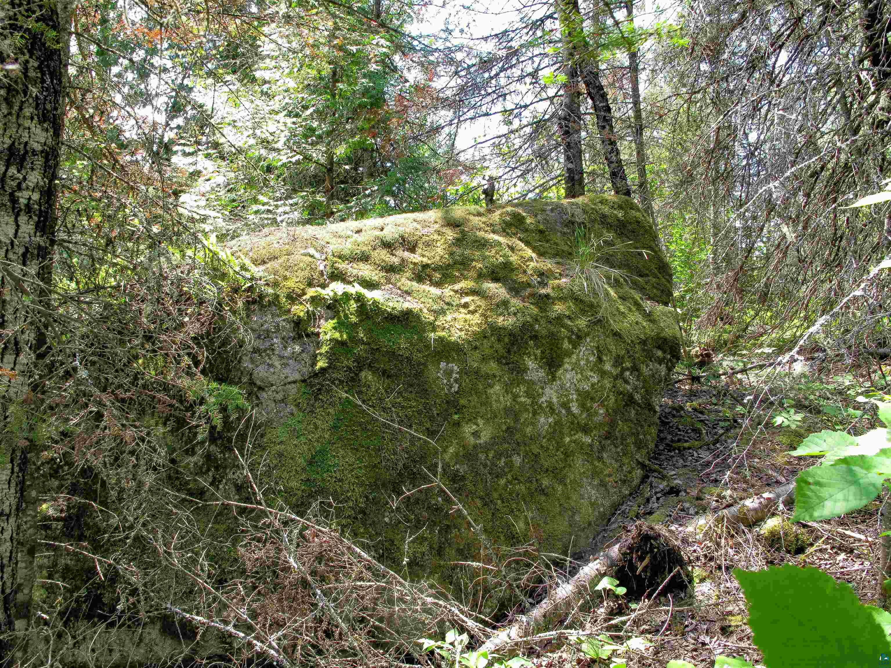 xxx The Grade Lutsen MN 55612 6120782 image9