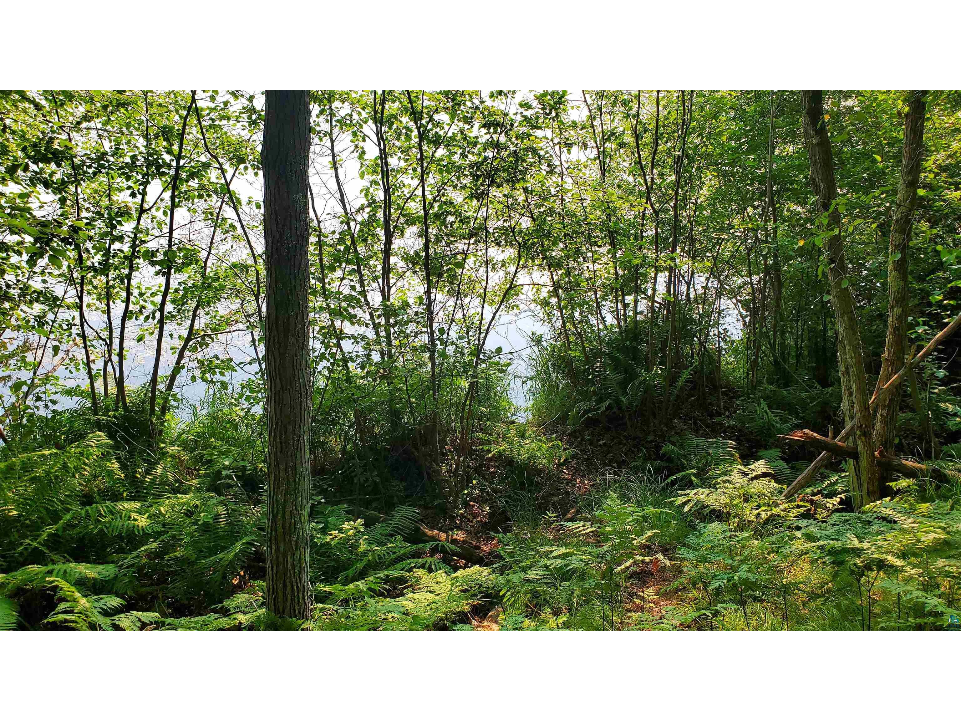 xxx Trout Lake Rd Delta WI 54856 - Muskellunge Lake 6115238 image1