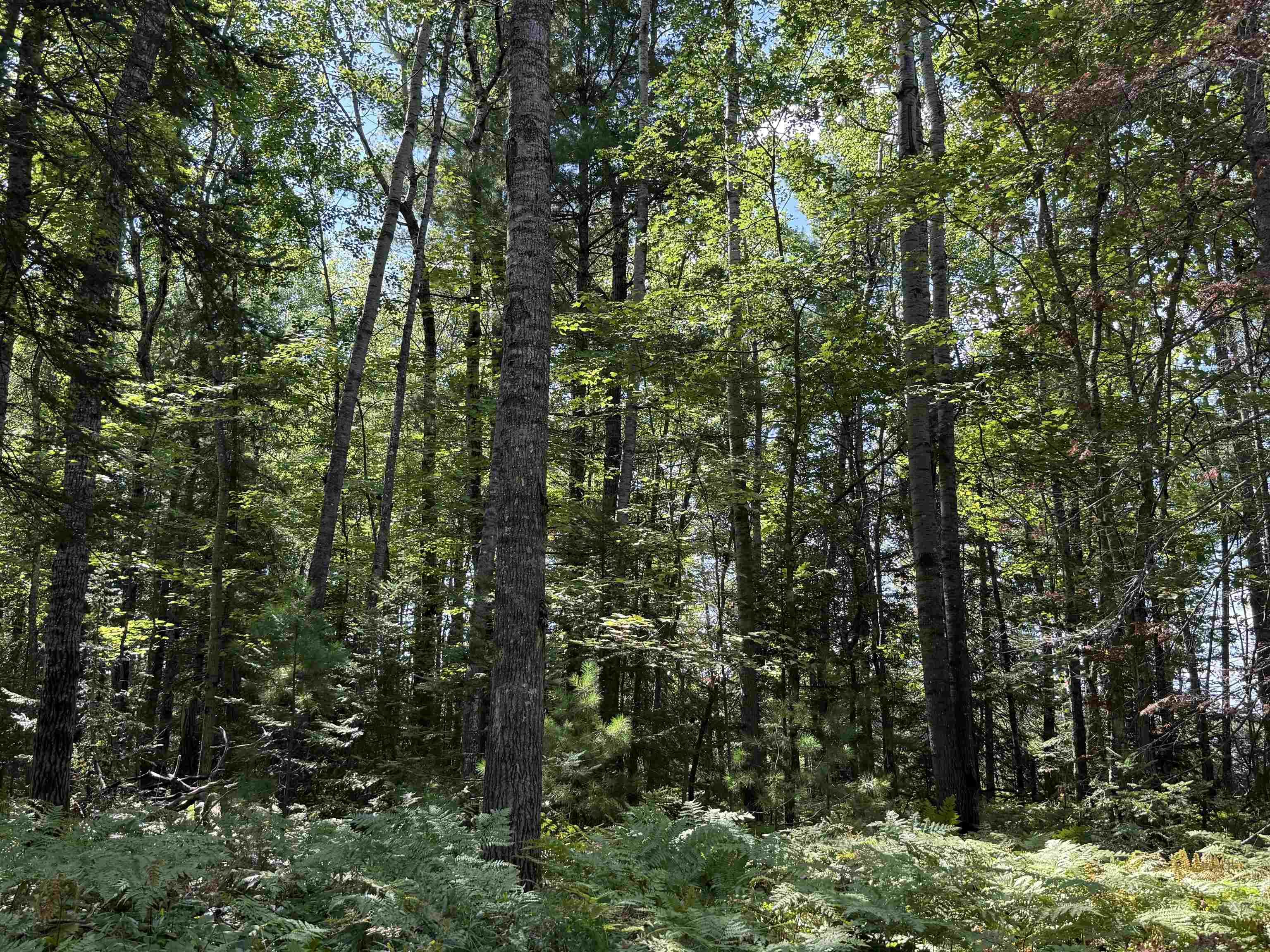 xxx W Gravel Pit Rd Iron River WI 54847 6121835 image1