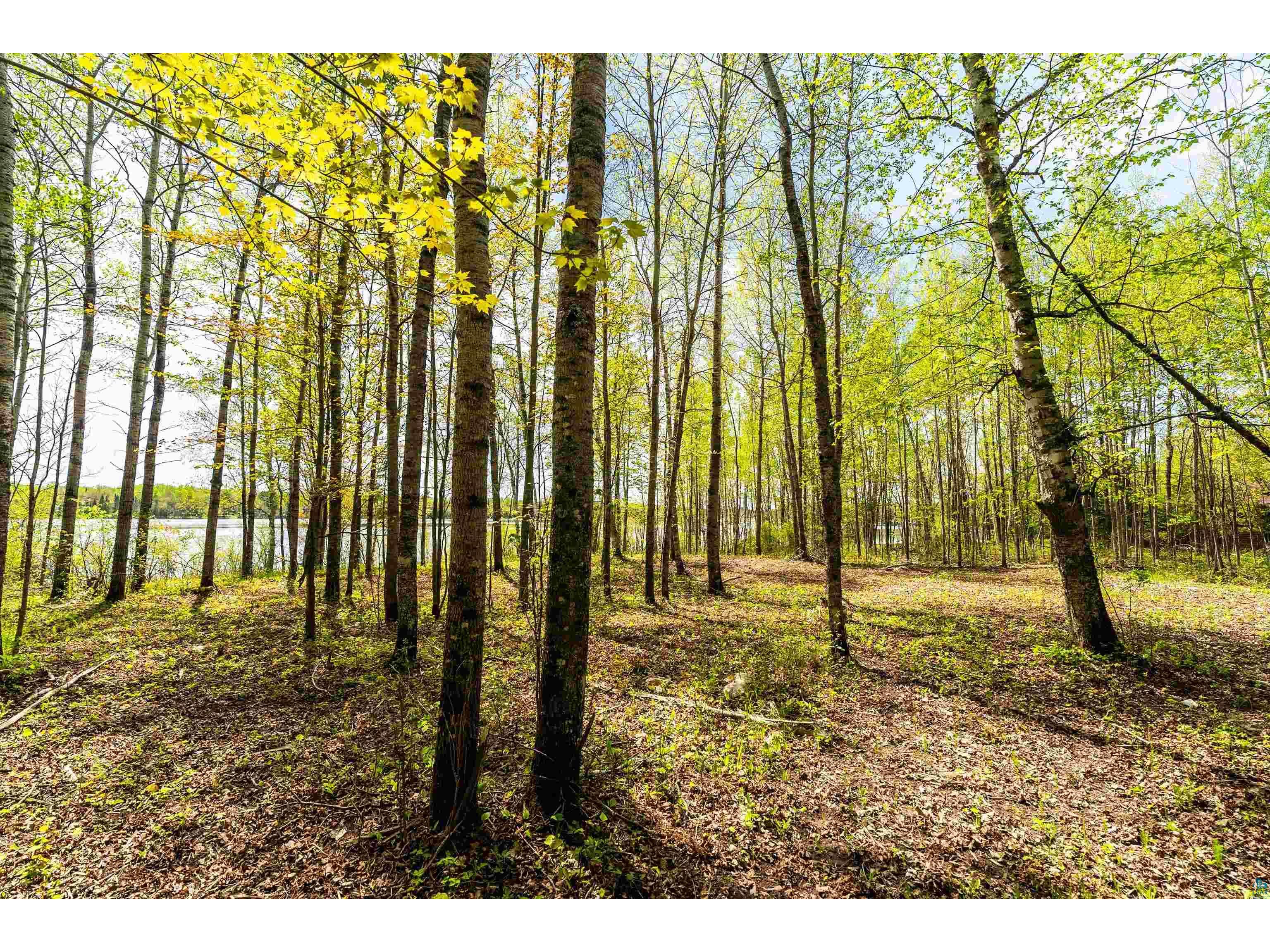 xxx1 Elde Rd Cotton MN 55724 - Long Lake 6123634 image14