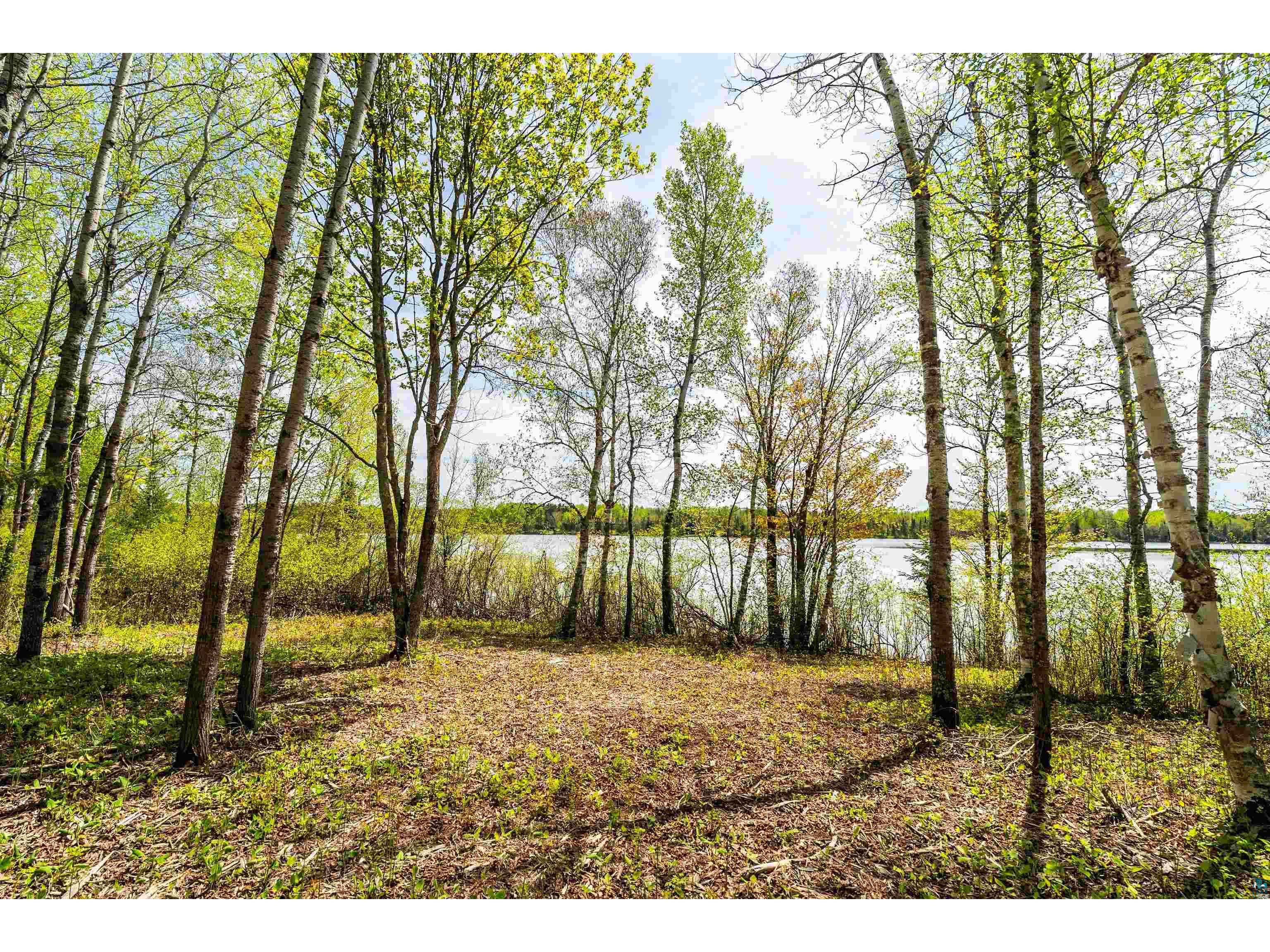xxx1 Elde Rd Cotton MN 55724 - Long Lake 6123634 image16