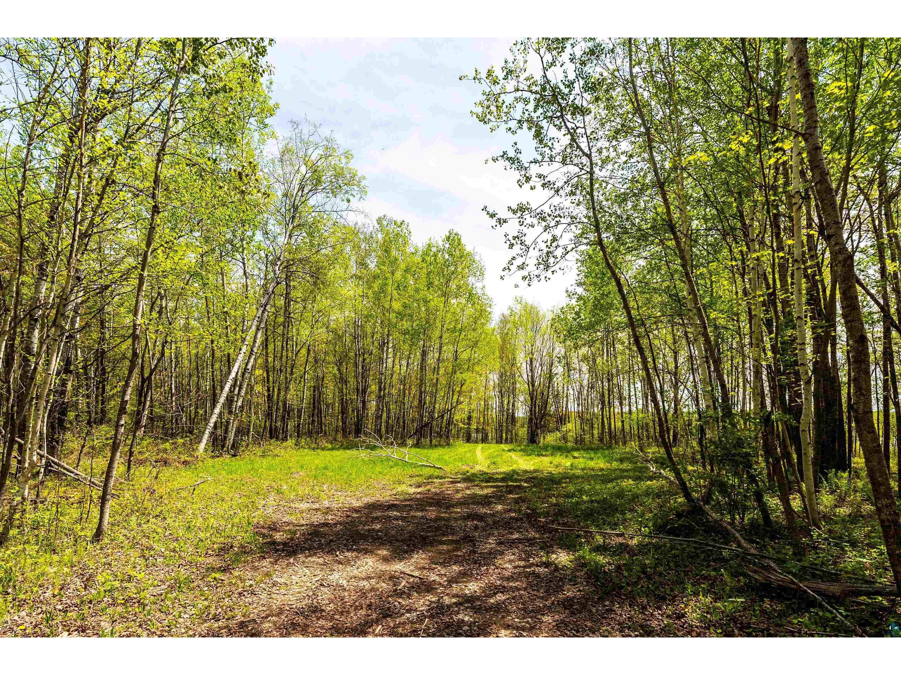 xxx1 Elde Rd Cotton MN 55724 - Long Lake 6123634 image17