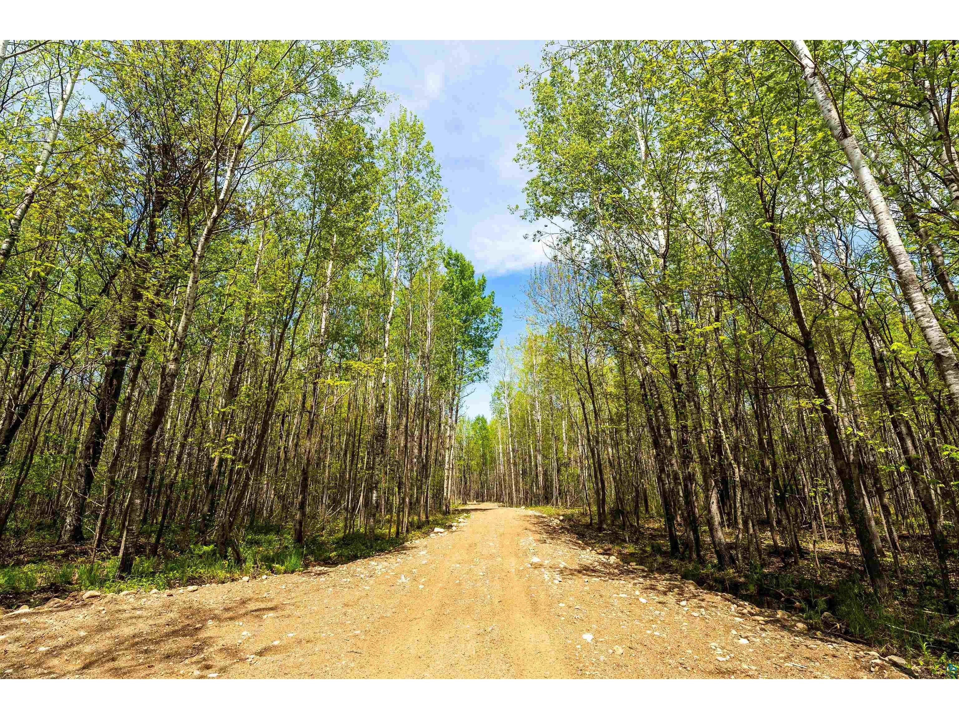 xxx2 Elde Rd Cotton MN 55724 - Long Lake 6123635 image19