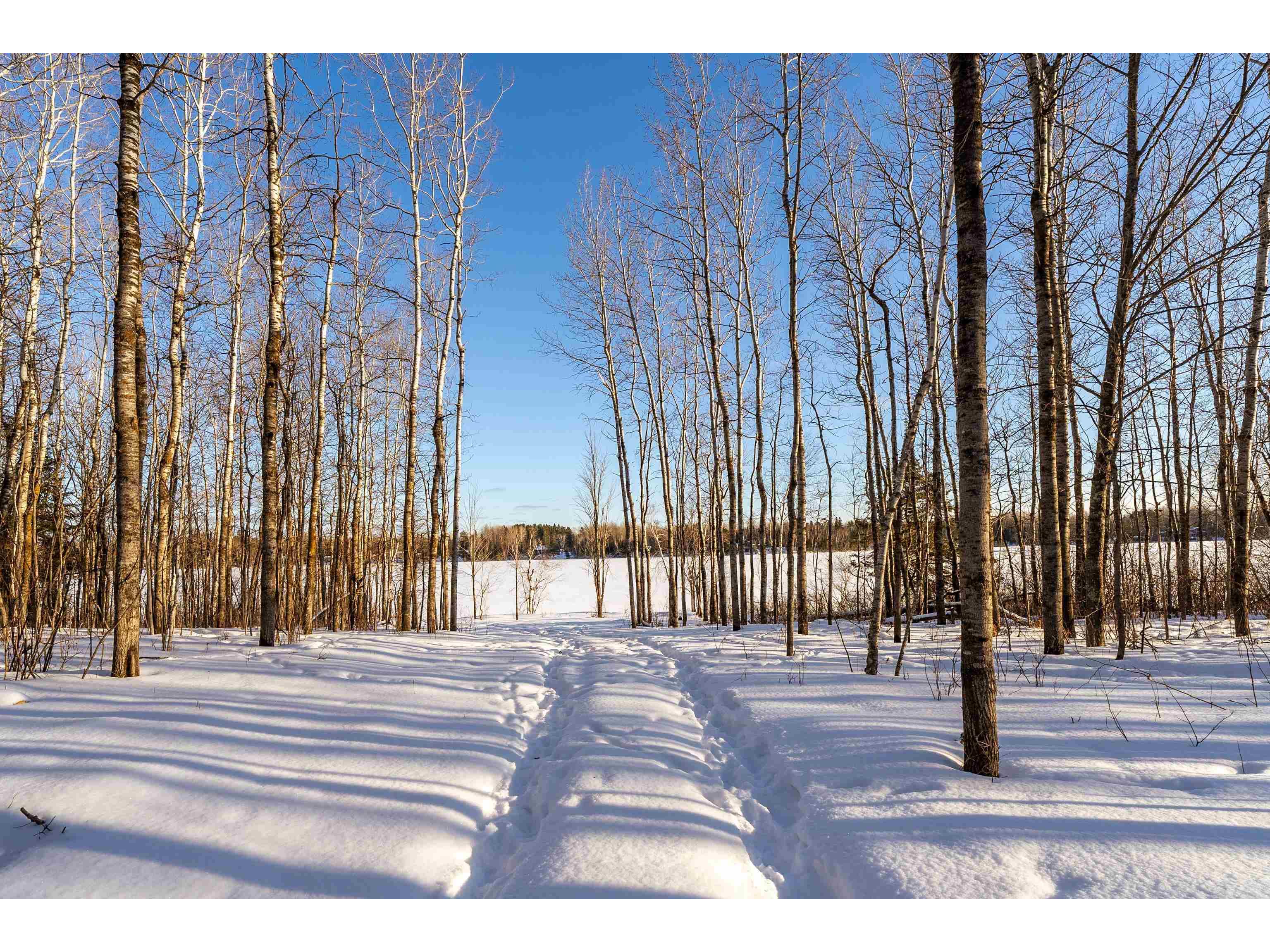 xxx2 Elde Rd Cotton MN 55724 - Long Lake 6123635 image3