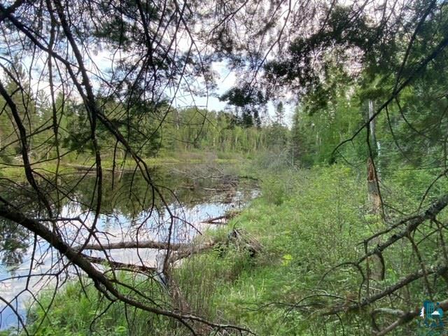 xxx2 Lane 51 Aurora MN 55705 - Partridge 6126615 image2