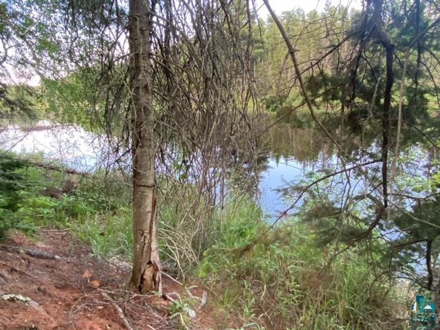 xxx2 Lane 51 Aurora MN 55705 - Partridge 6126615 image3