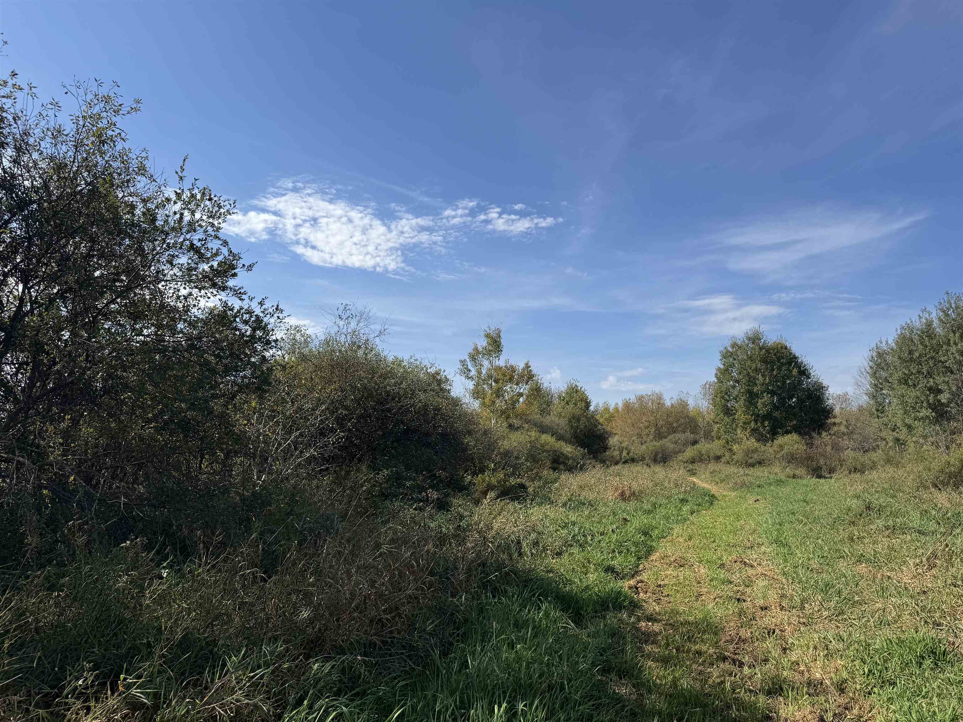 xxxx 460th Ln Palisade MN 56469 6122345 image10