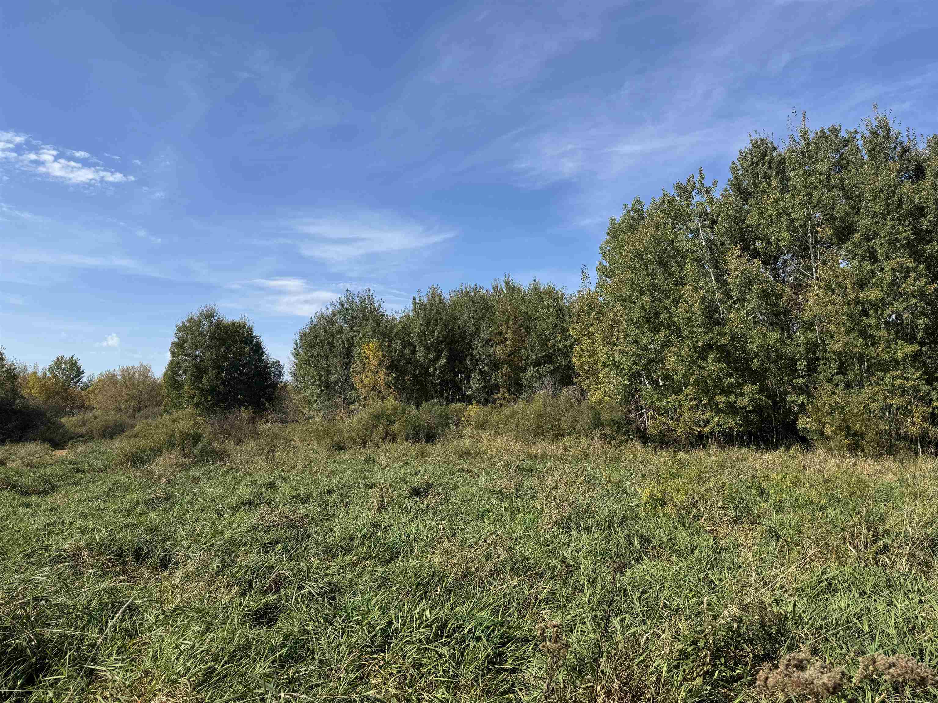 xxxx 460th Ln Palisade MN 56469 6122345 image12