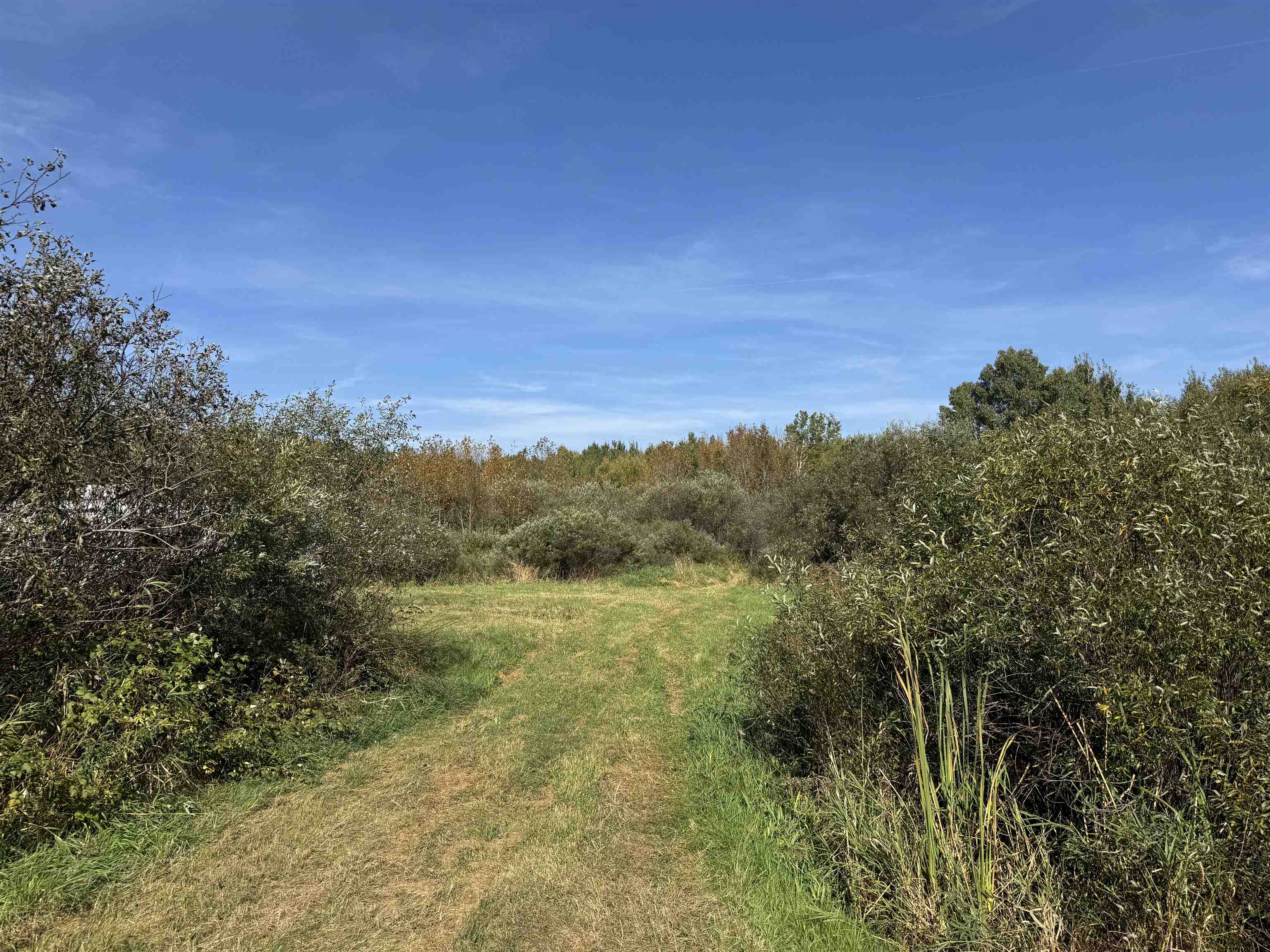 xxxx 460th Ln Palisade MN 56469 6122345 image15