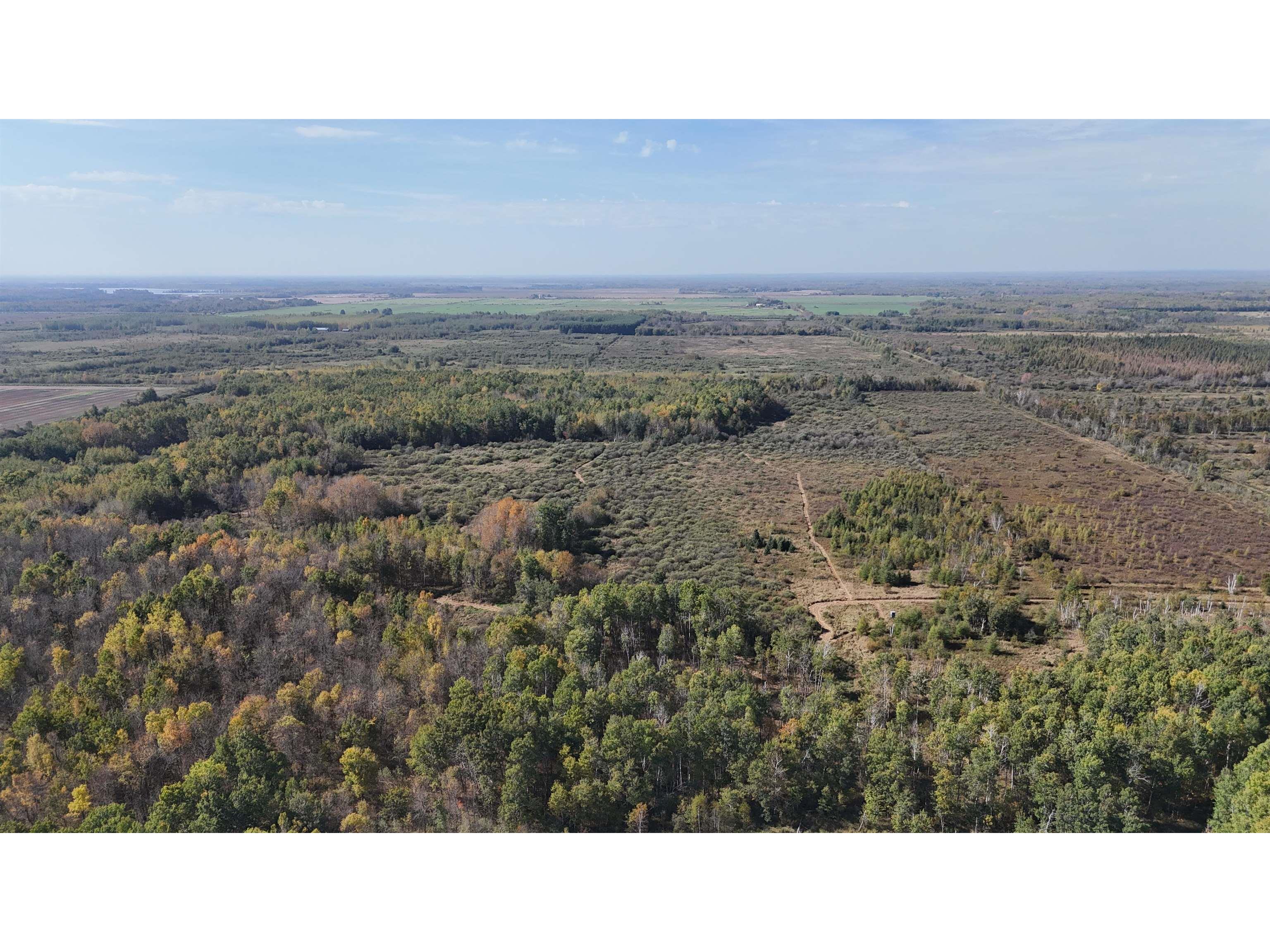 xxxx 460th Ln Palisade MN 56469 6122345 image19