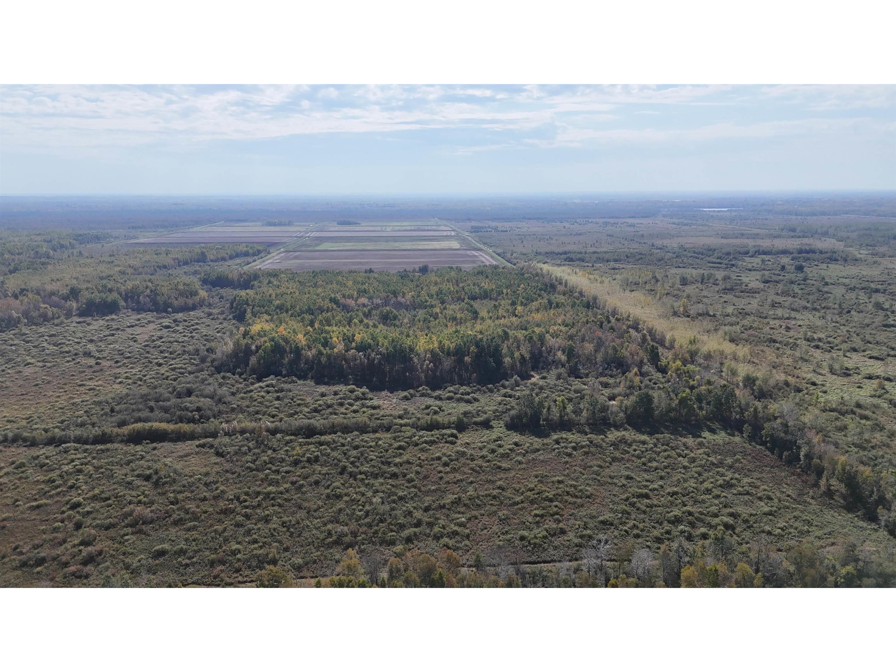 xxxx 460th Ln Palisade MN 56469 6122345 image2