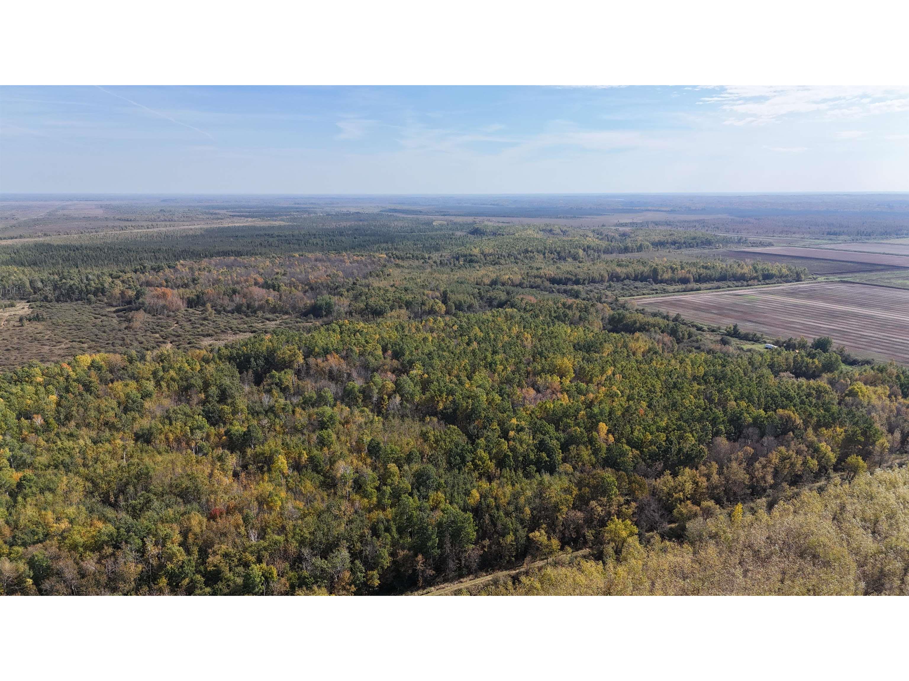 xxxx 460th Ln Palisade MN 56469 6122345 image23